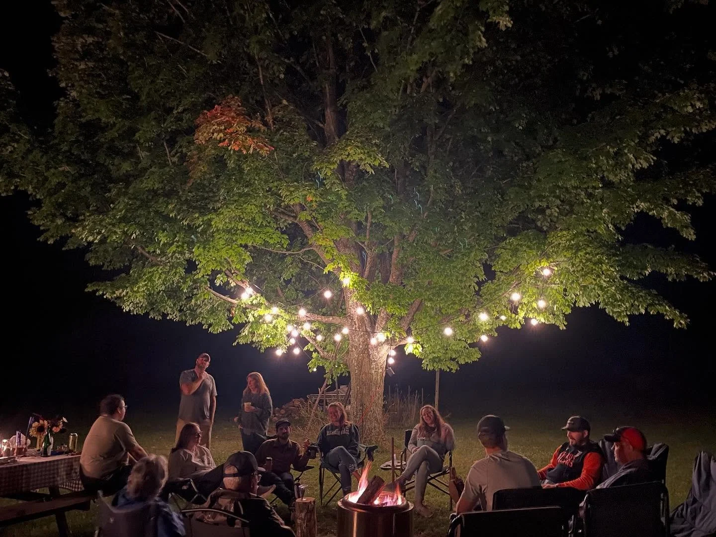 These lights have held up for a couple of years now in the tree behind the farm house. (Impressive given the snow and wind they have endured.) 
I love the way they look over summer campfire dinners, date nights, and fall bday parties โจ