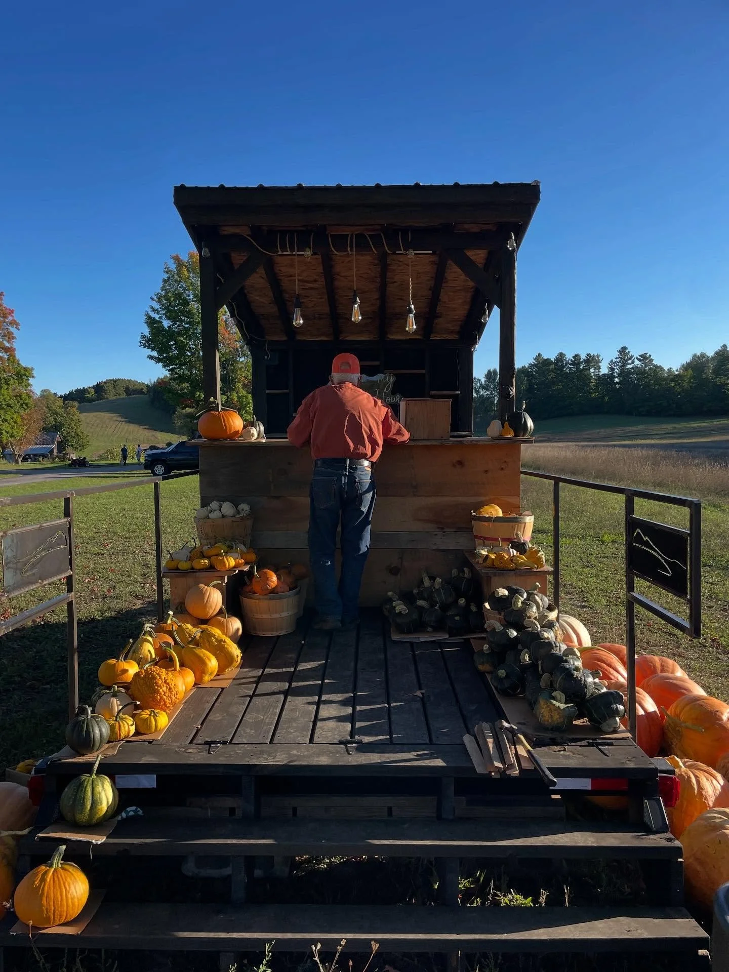 More ๐ harvested this week. Come and get them!