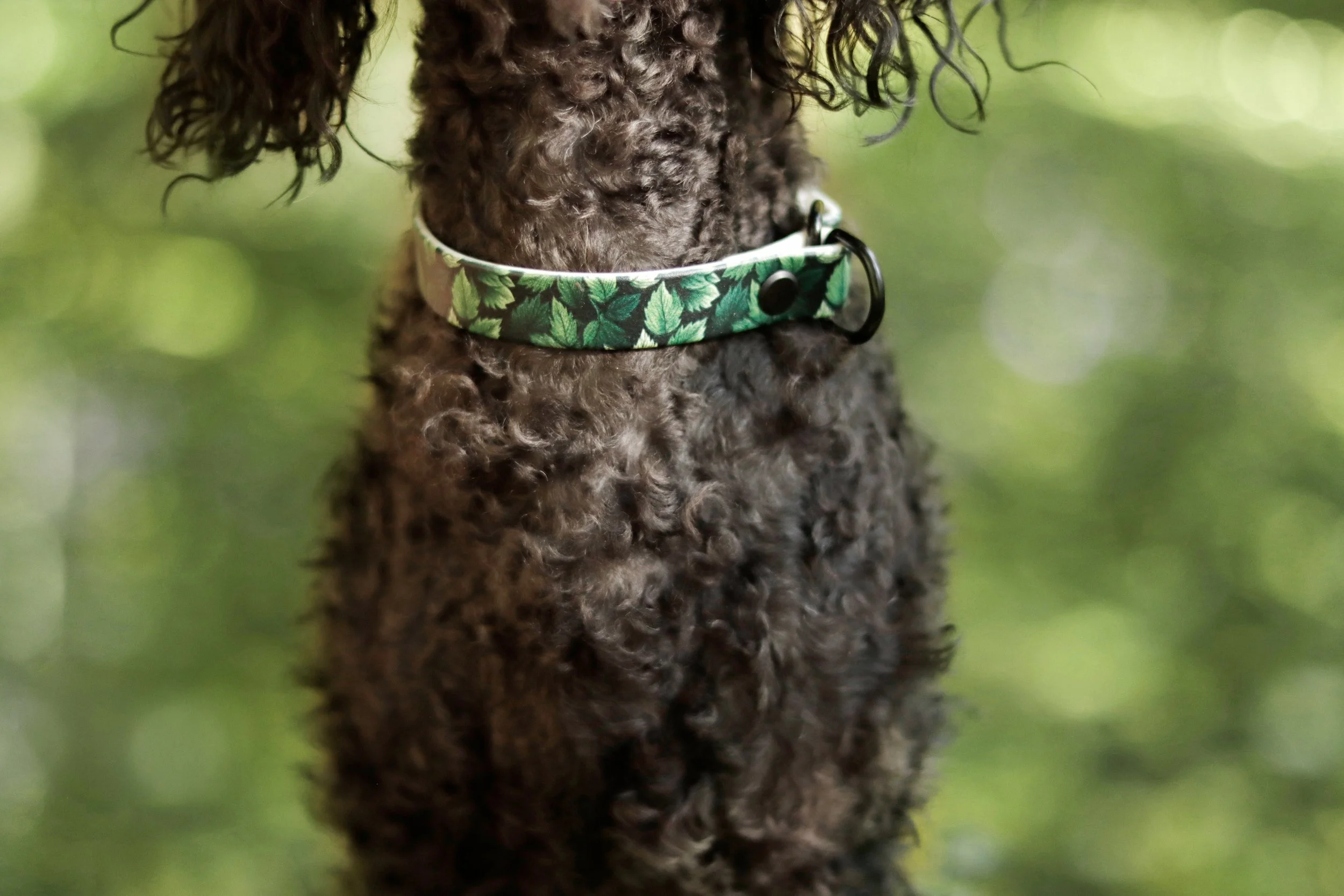 Sonderfarbe Forest 2.jpg