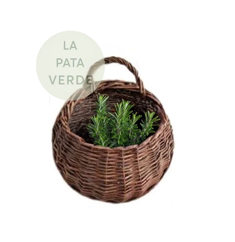 Weidennest. (hängend)