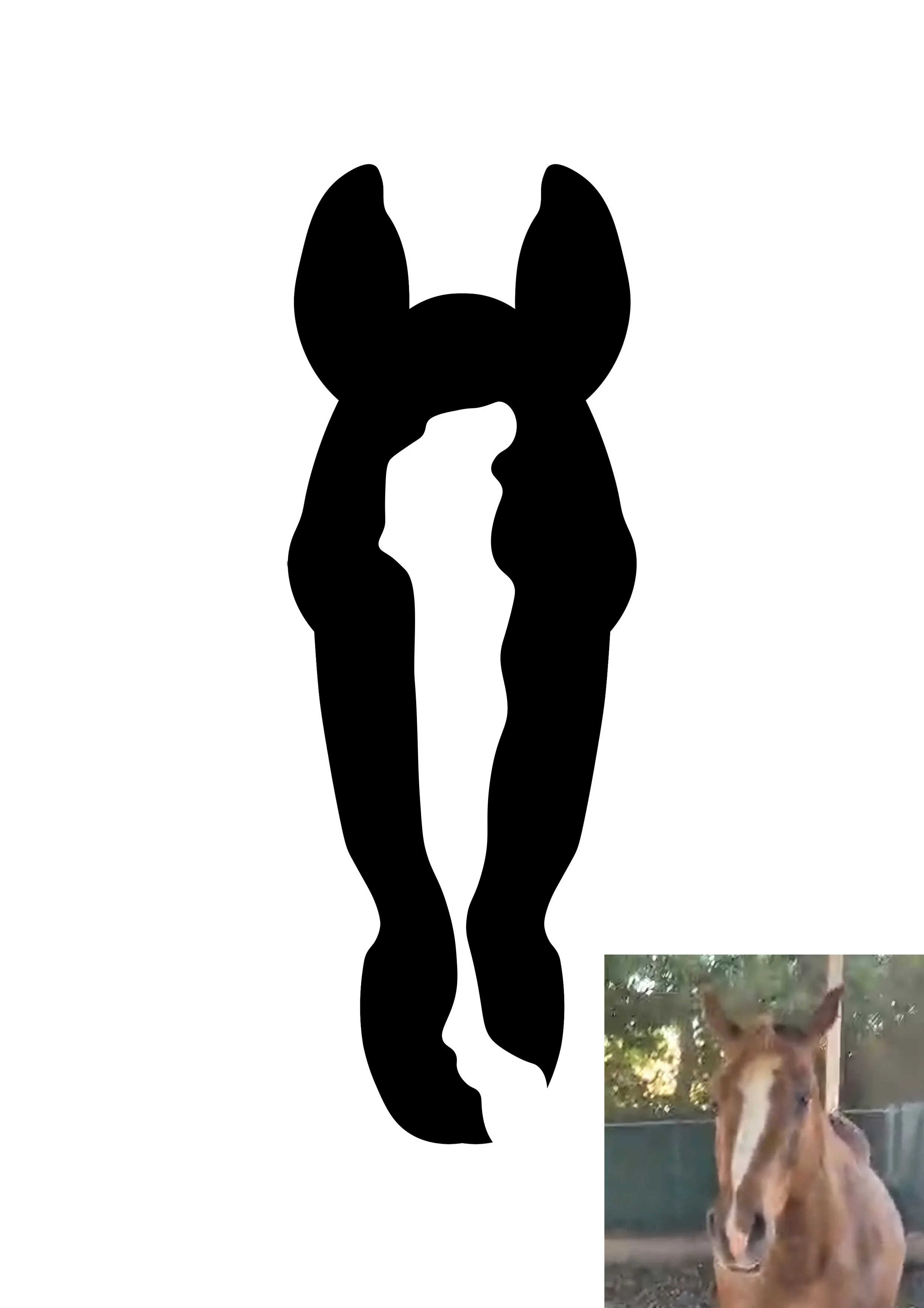 Blesse TJ.jpg