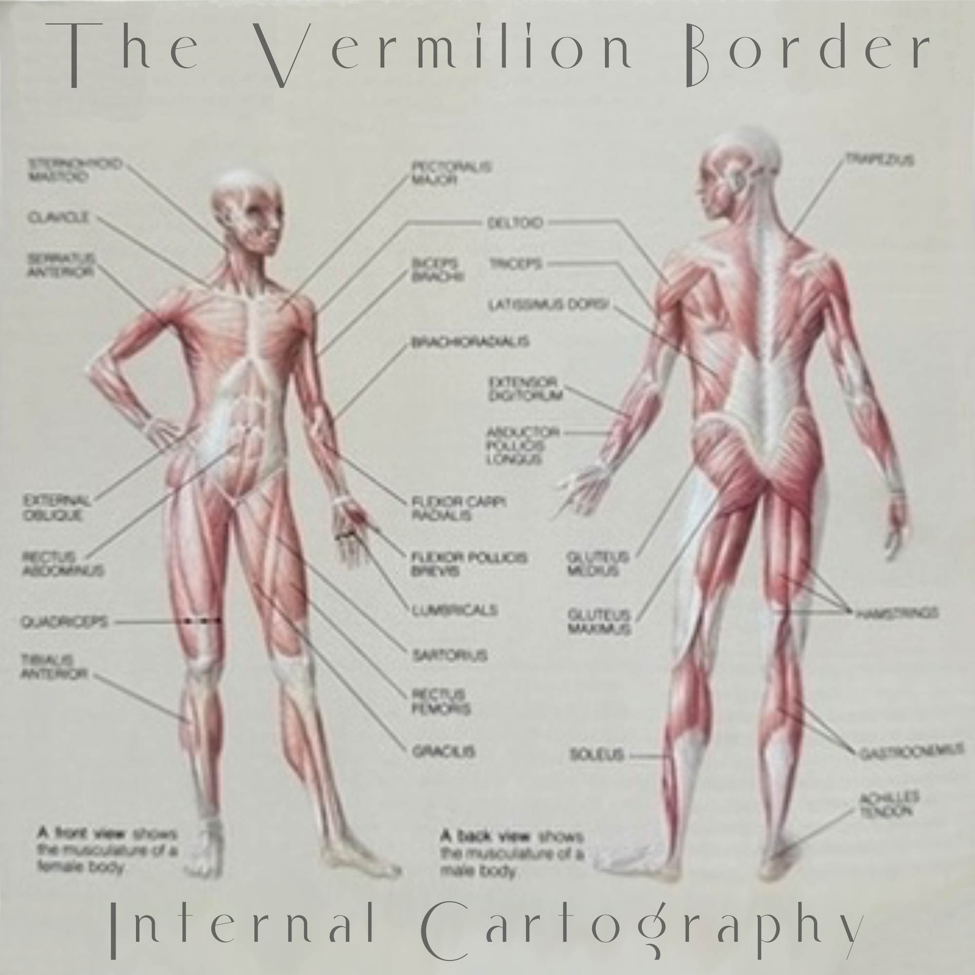 INTERNAL CARTOGRAPHY (FULL ALBUM)