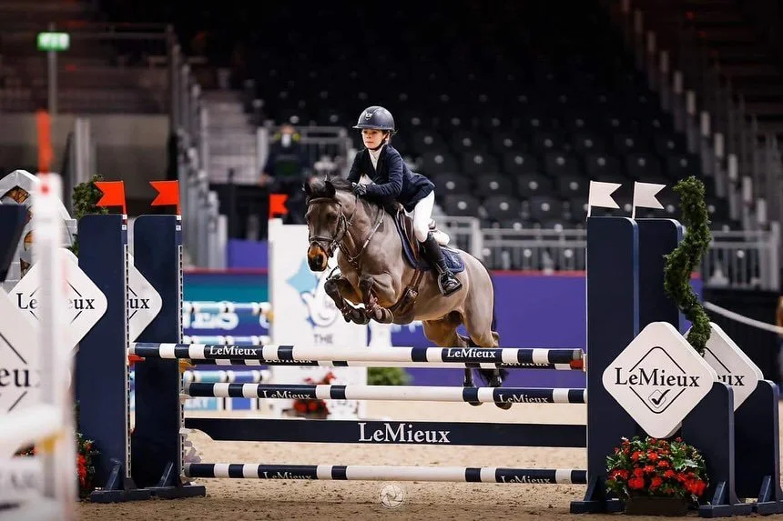 We have recently been working hard getting our new website up and ready. We haven&rsquo;t sold many ponies but this one is a hard act to follow. A pony who is loved by all but also a competition superstar for his owners