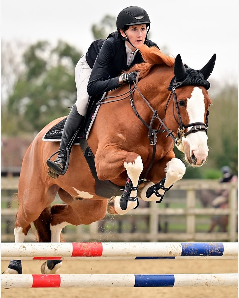 Kavan Z on his way to a newcomers double clear and 4th Place a Parwood yesterday.