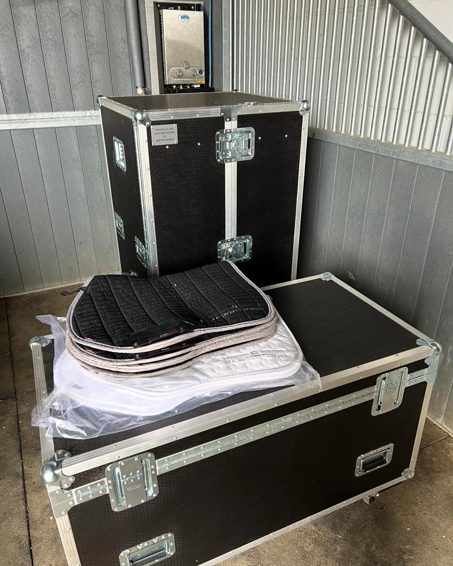 Slowly getting show ready. Horses are getting jumping fit just waiting a couple of weeks for Alicia to get back in saddle then we have to work out how shows with a baby work.