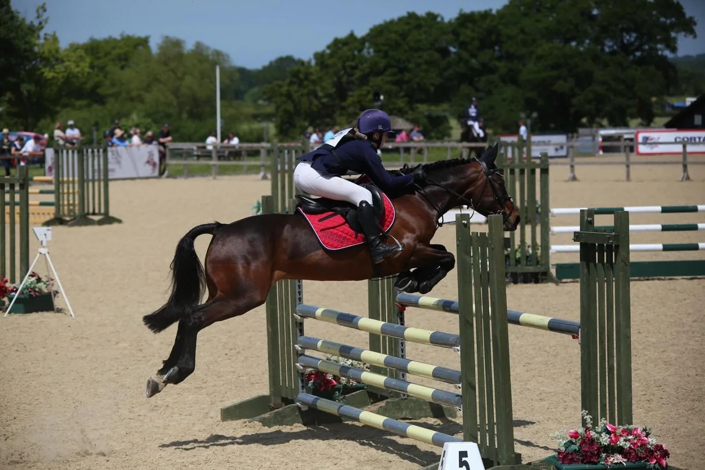 Irish Sports PonyBayGelding16 years14.2 hands (LHC)
Honest
Competitive
Fun
Storm is a 2008 Irish Sports Pony with BS winnings in excess of &pound;2000.00 with many wins up to 1m15.

Storm has been in a PC/RC home for the past 4 years. He would suit c