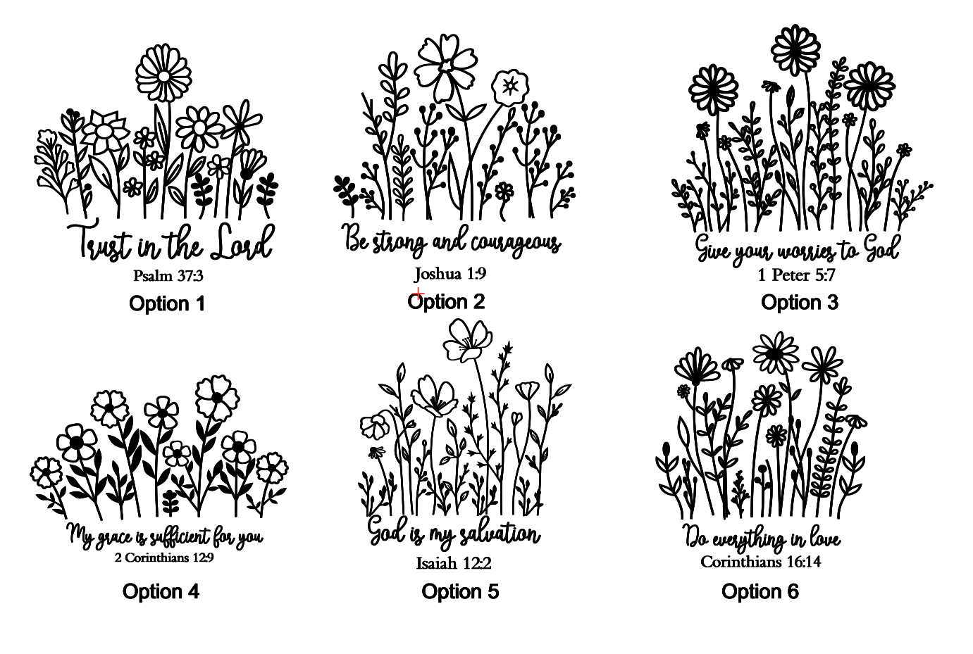 Inscription Options.png