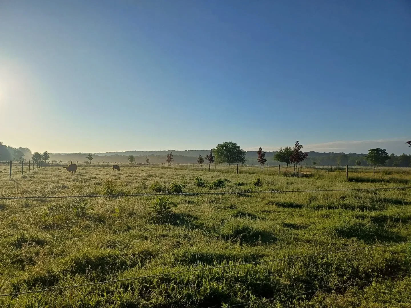 Pieterpad done! Sort of. There were some detours and some shortcuts. But still: 500km in 6 days on my trusty bike. Some highlights:
1&amp;2: morning views from cabins.
3&amp;4: found a big rock. Must sit on it.
5: little campsite lake full of loud fr