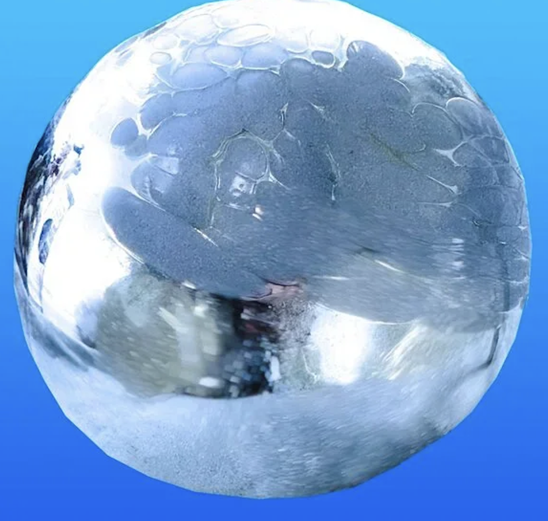 Mexican orb 5 BB.png