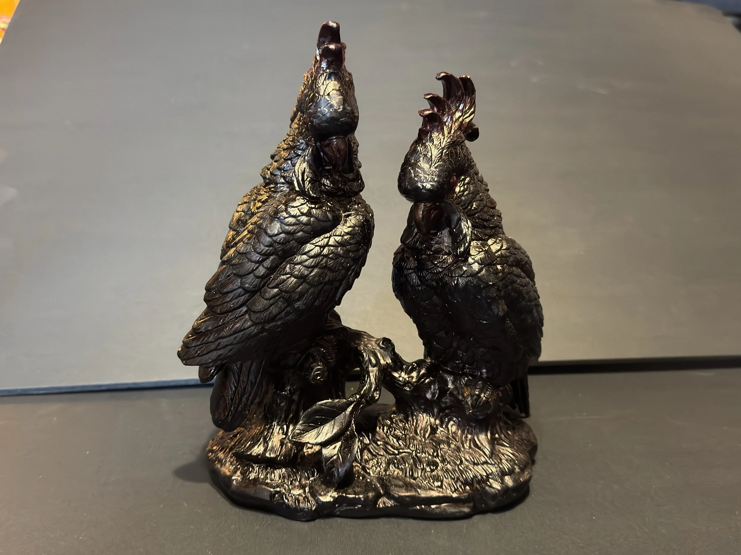 9" black cockatoos1 AA.jpeg