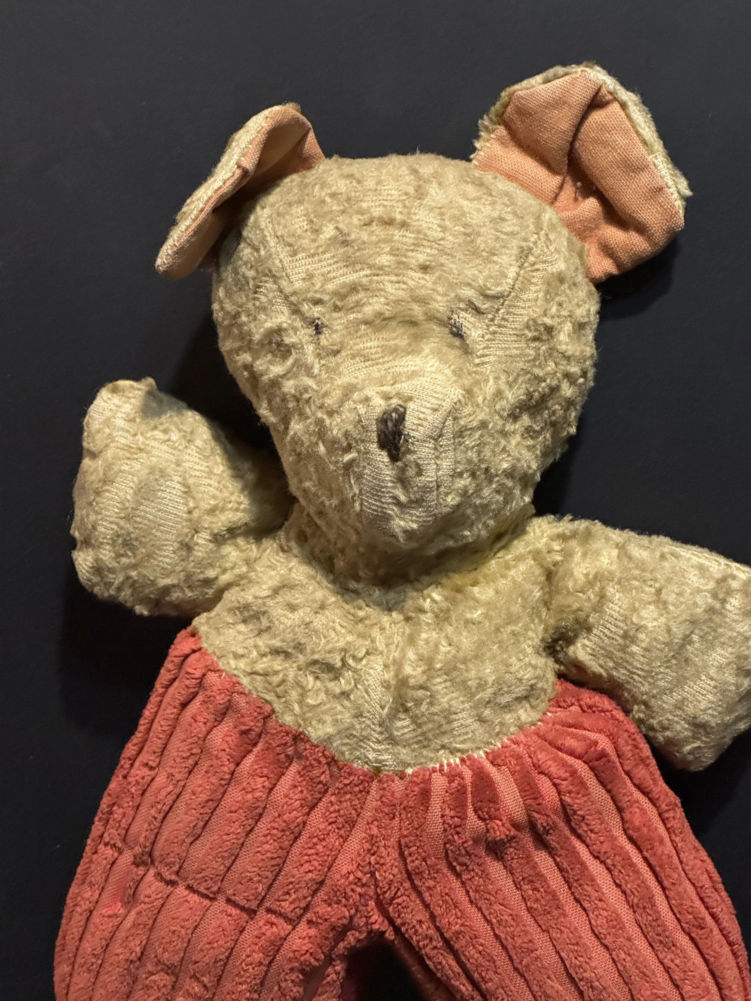 The good old bear with red pantaloons