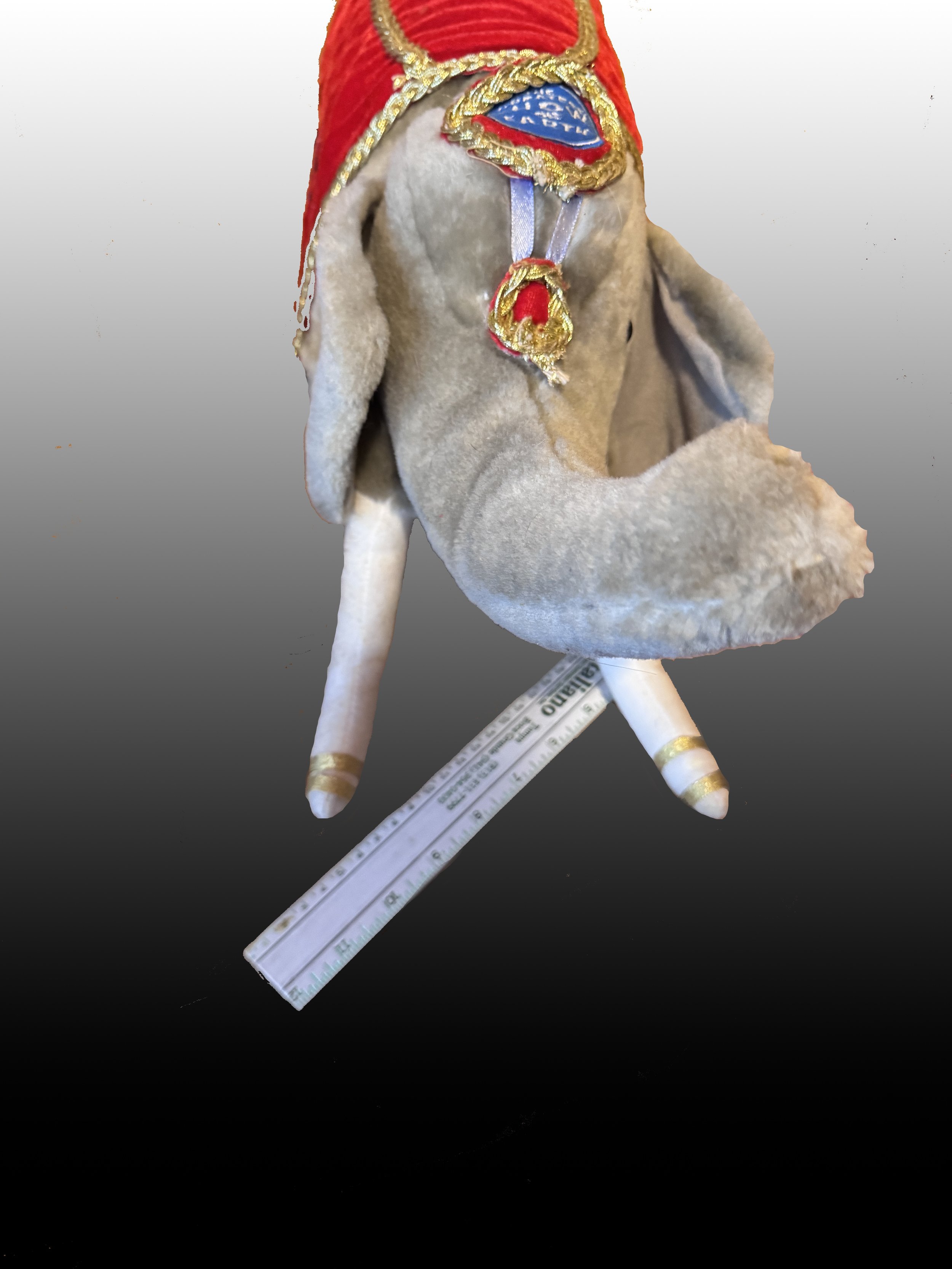 ringling elephant5 copy.jpg