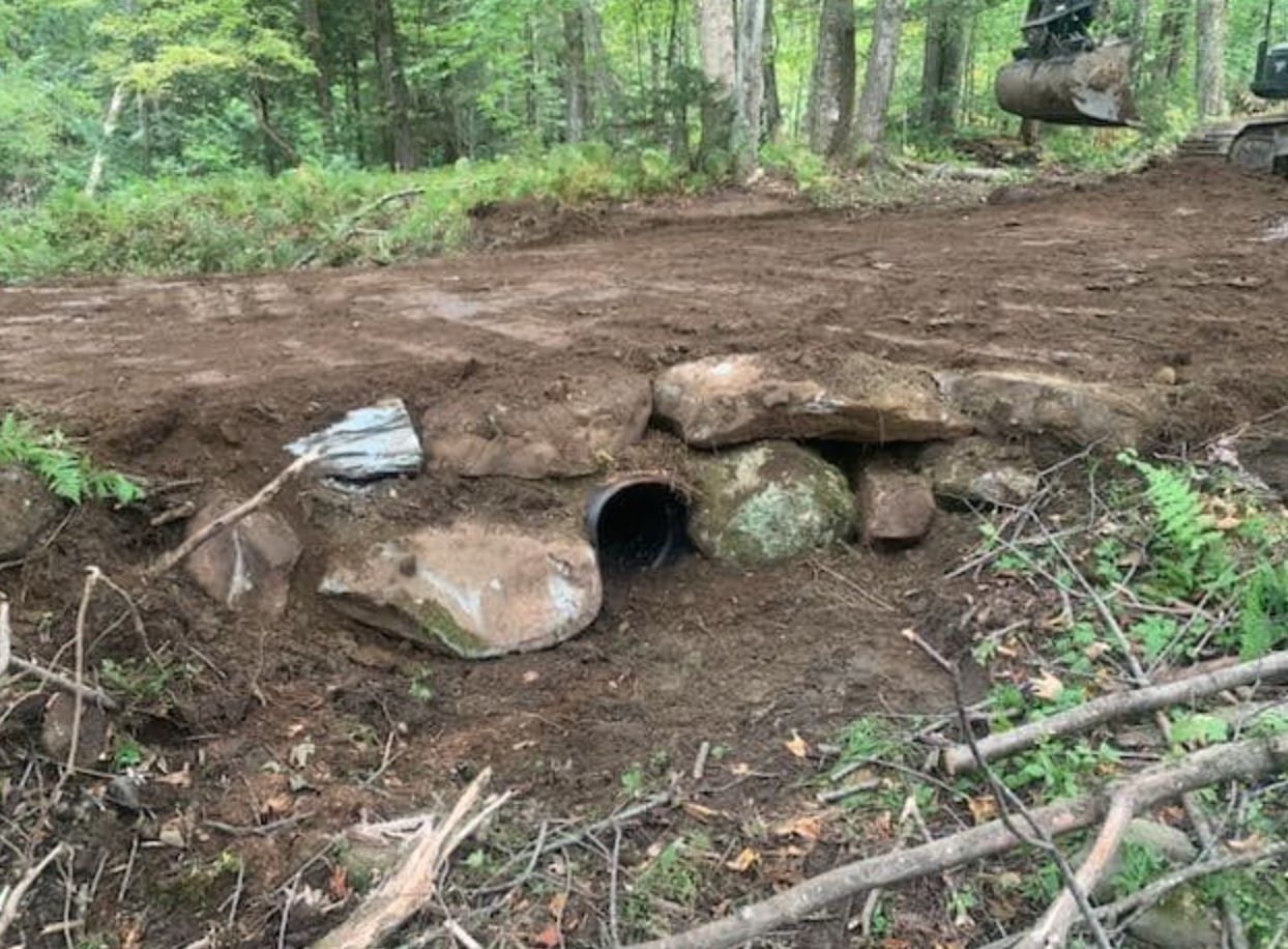 woods road going in with a culvert