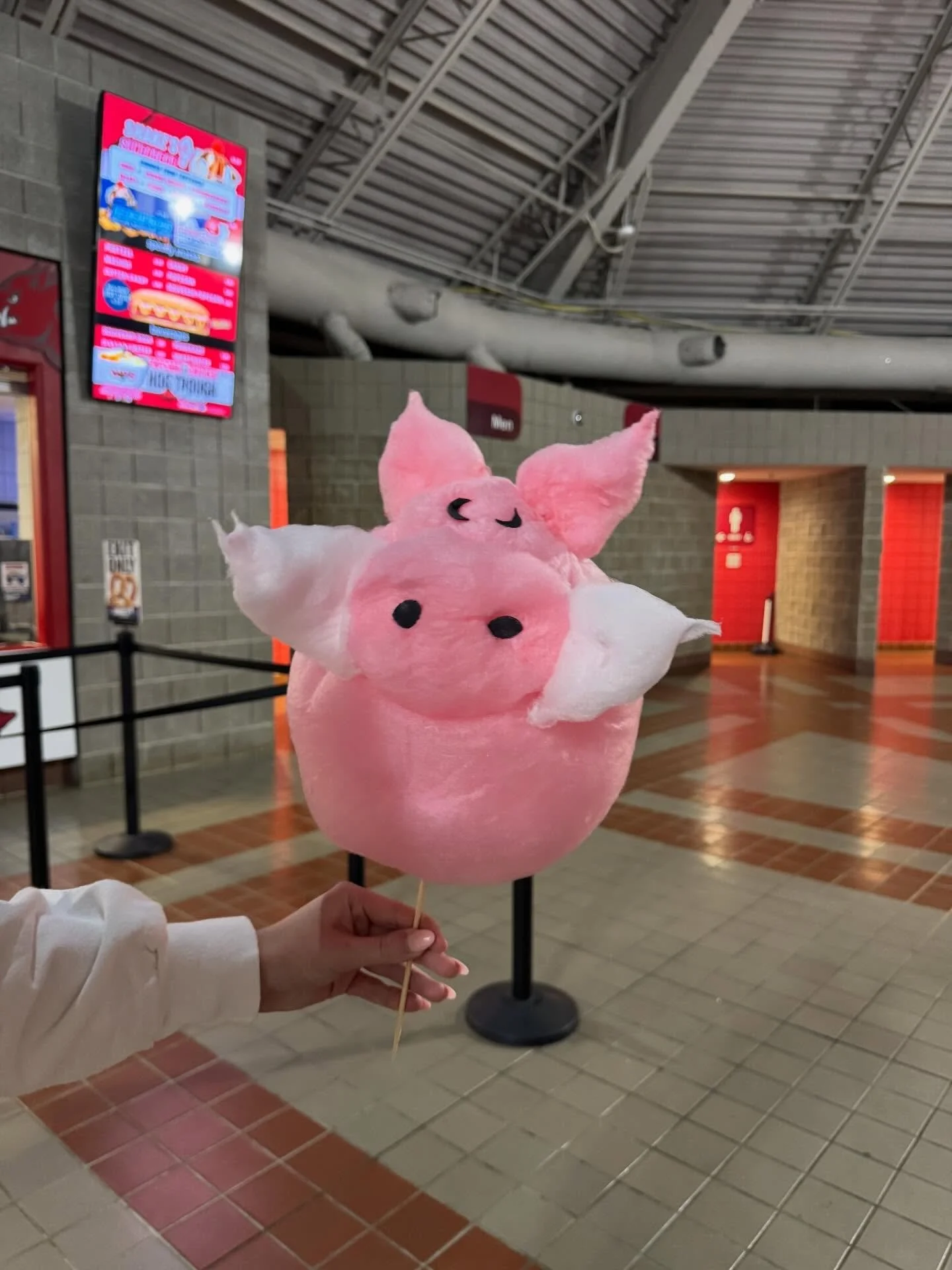 Absolutely obsessed with my favorite new food item at Bud Walton. 🐗🤸🍭😍🧢 #razorbackcottoncandy