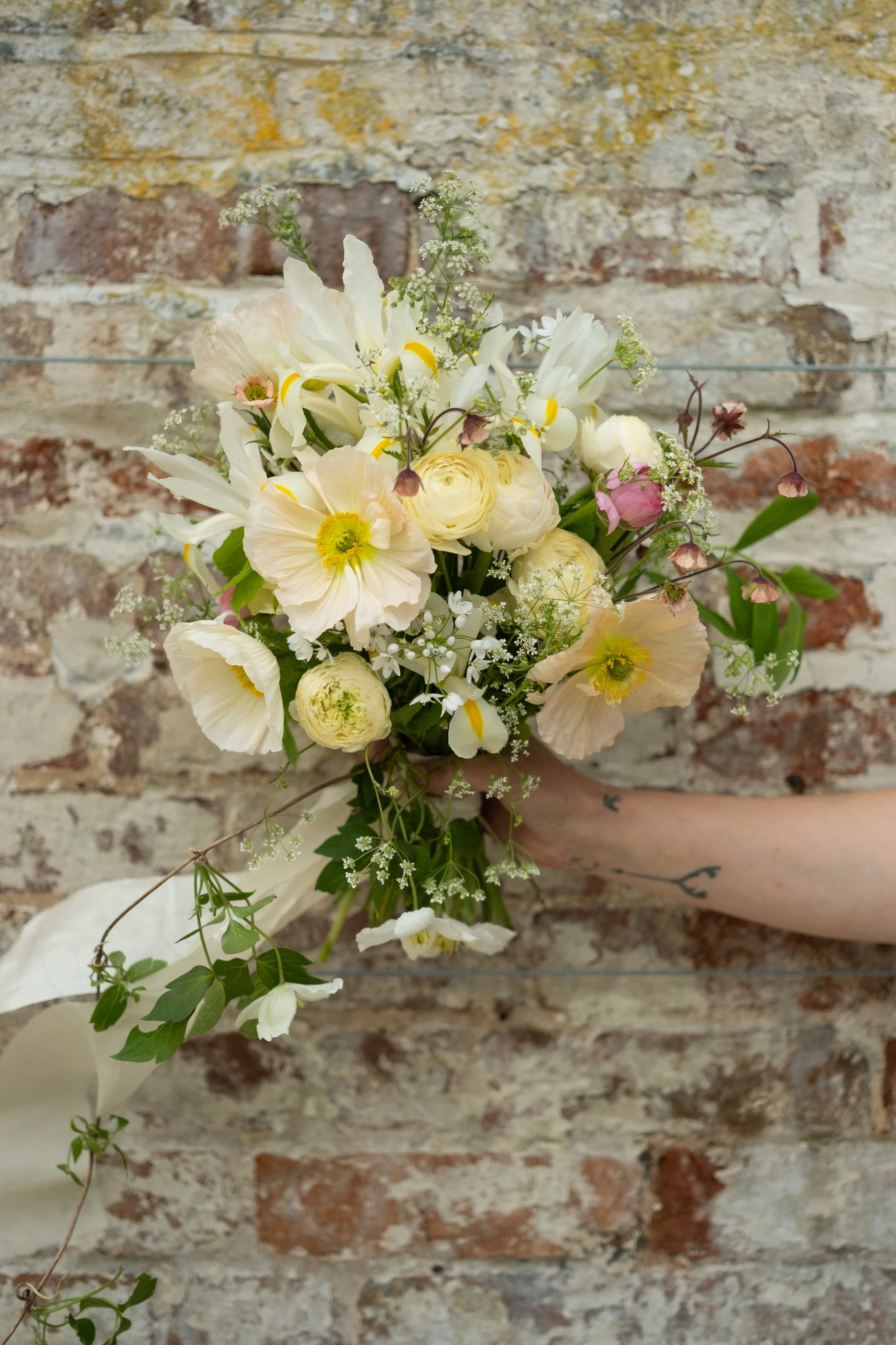 IMG_7750.jpeg