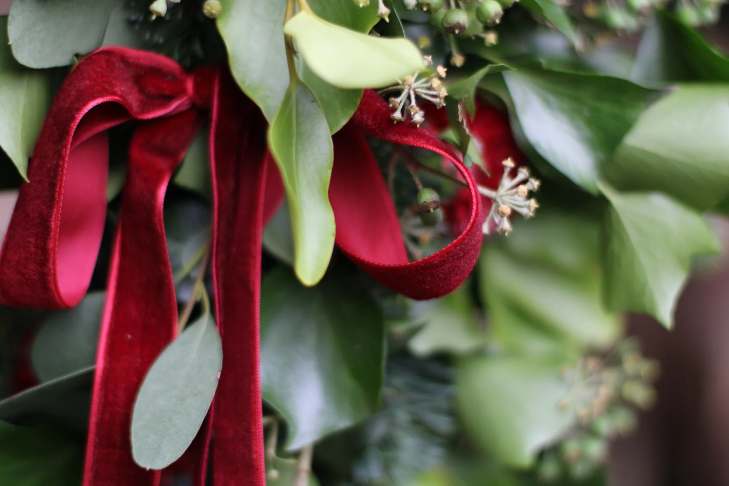 Winter Wreath Workshop - Ty Cemaes
