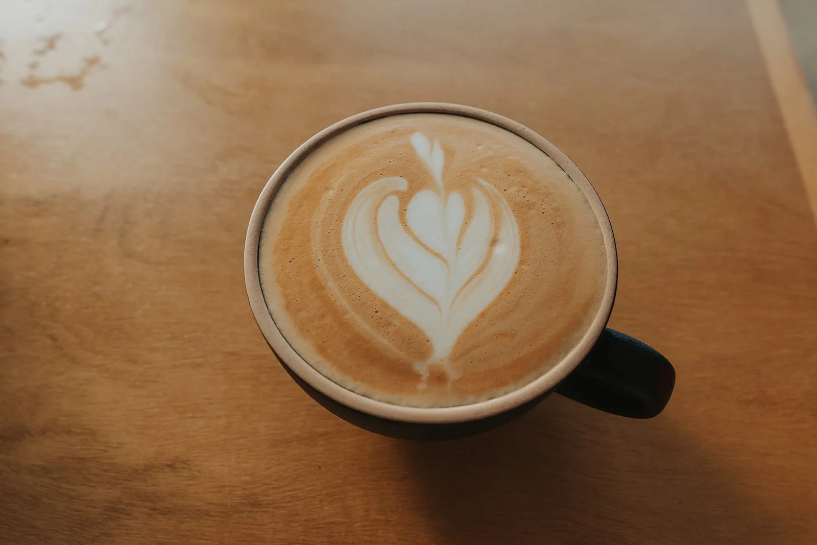 Coffee Alternatives
