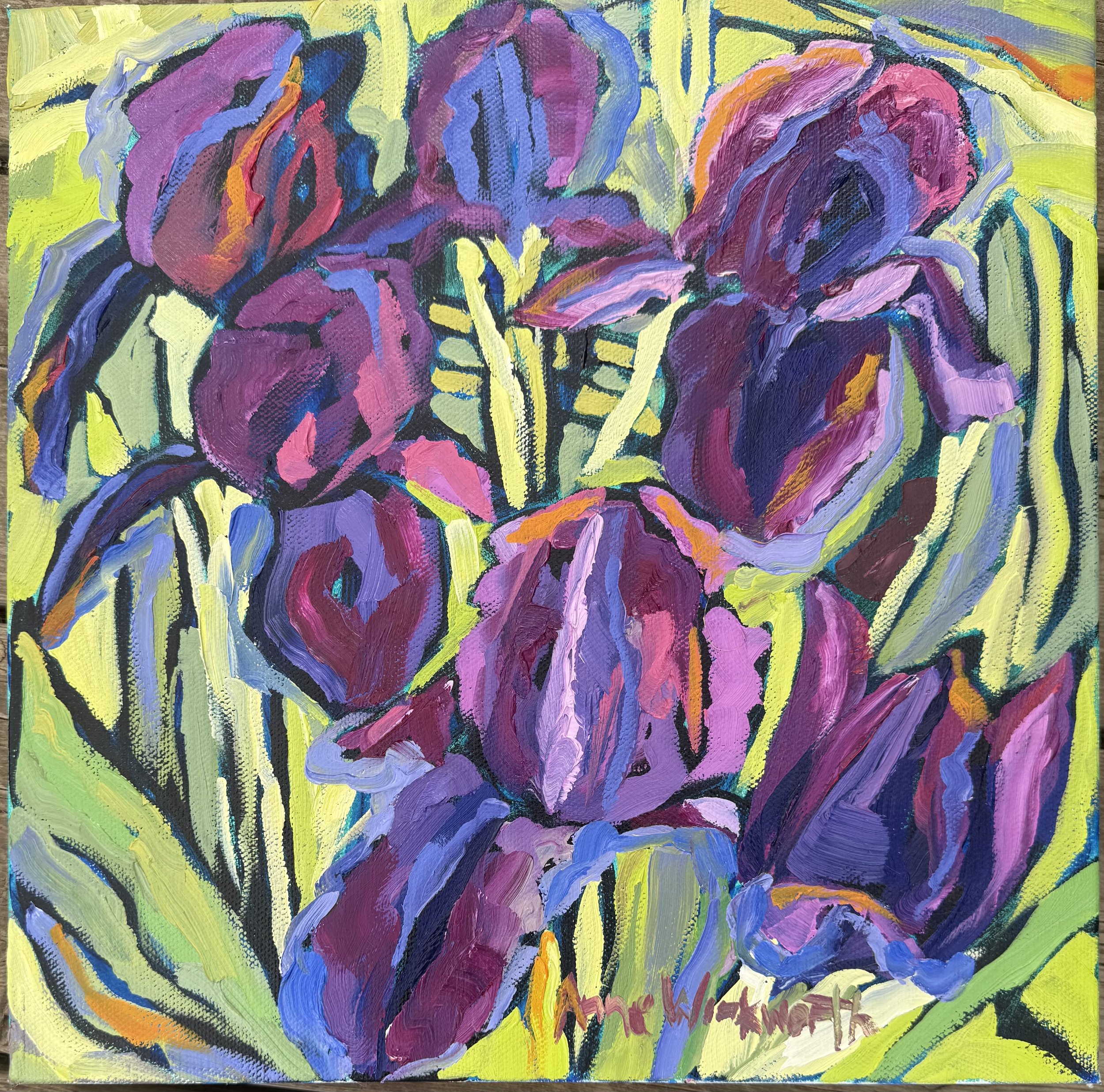 Irises , Anne Winkworth