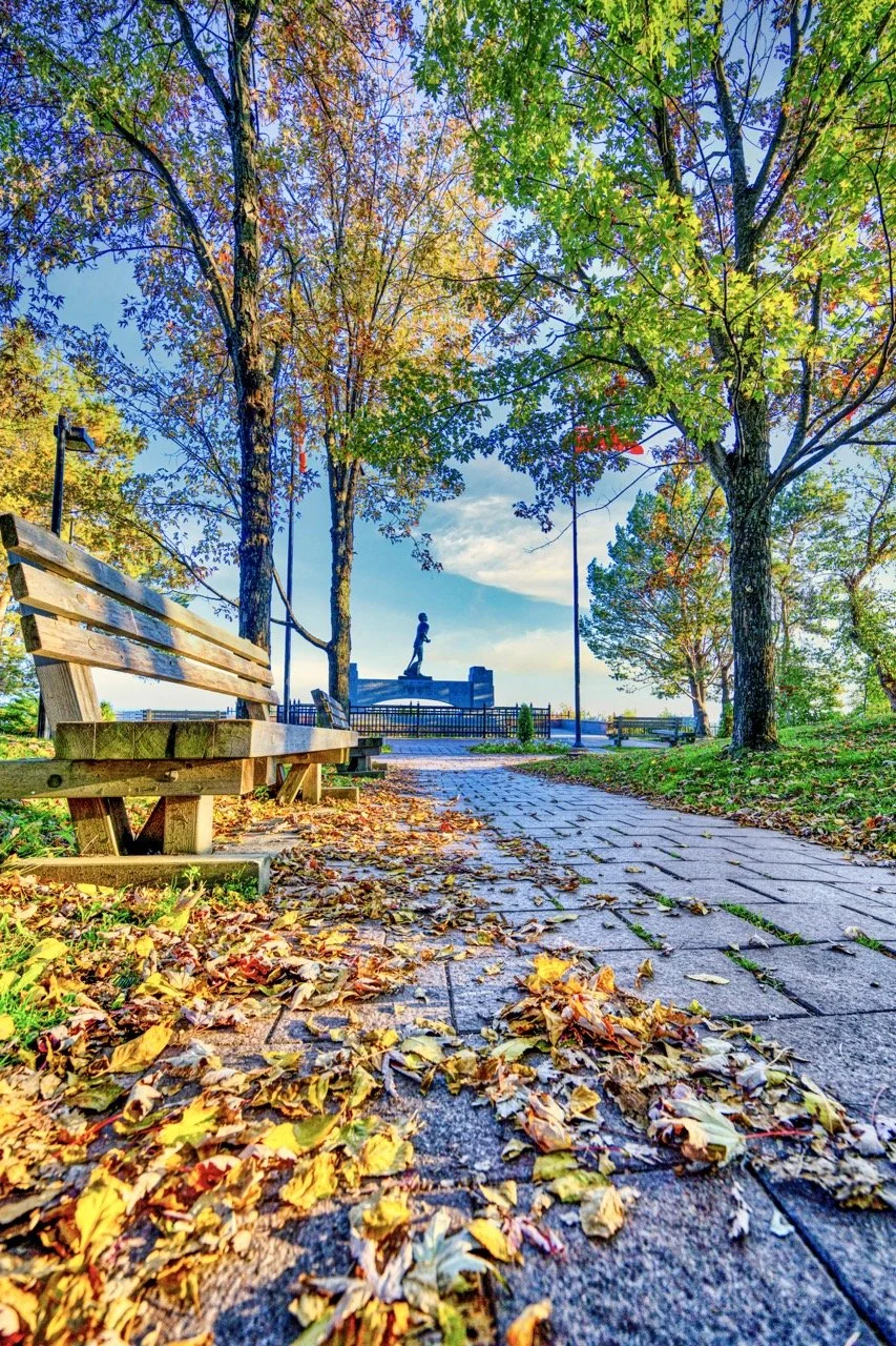 Fallen Leaves-Terry Fox_.jpeg