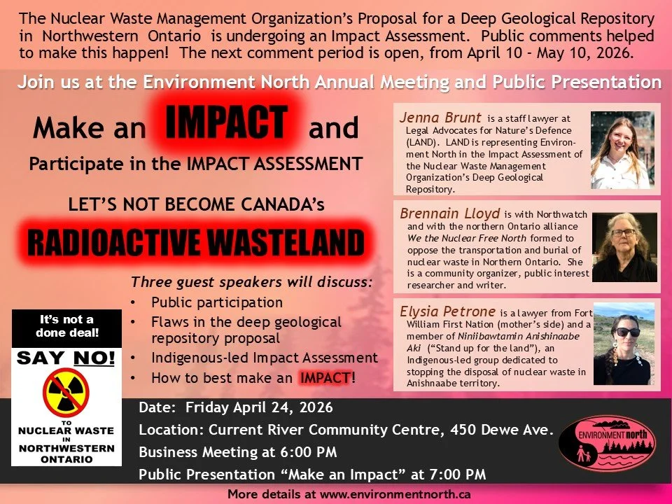 Environment North Public Presentation - Make An Impact