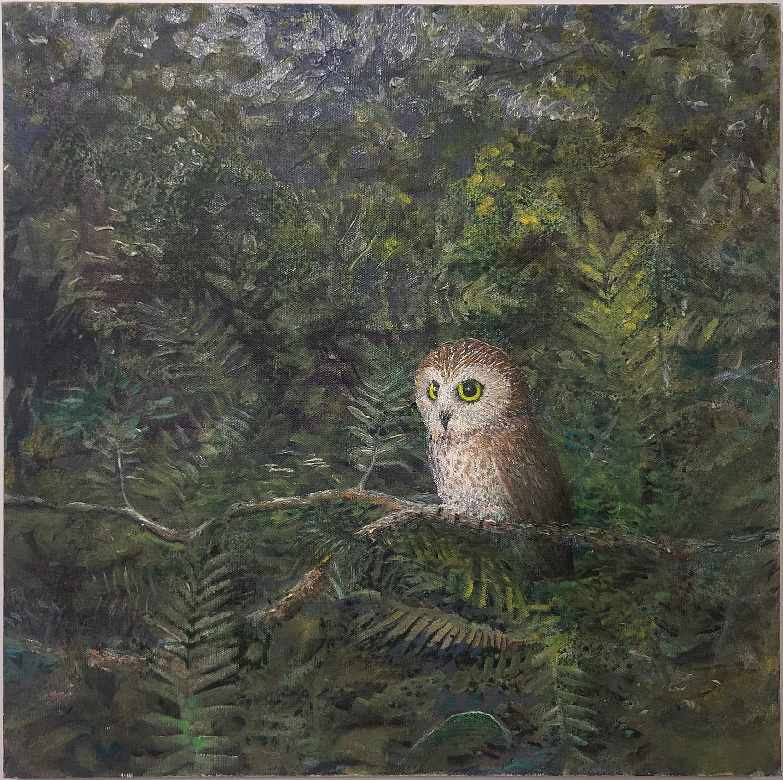 Northern Saw-whet Owl, mixed media on canvas, Ronald Brown.jpg