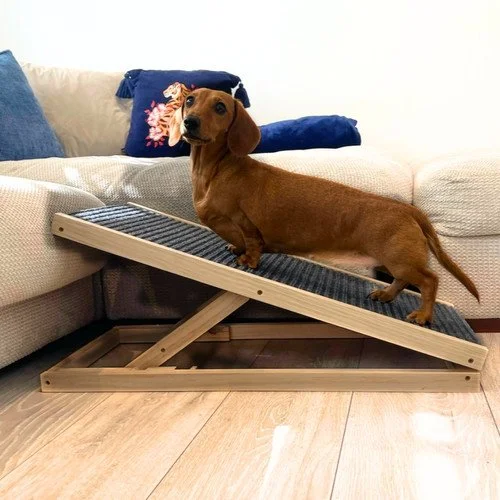 Home Adaptations
