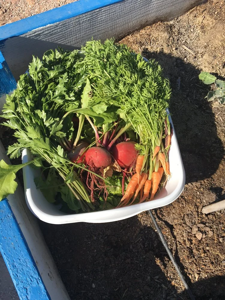 Grow It Yourself: Building Community at Compass Affordable Housing