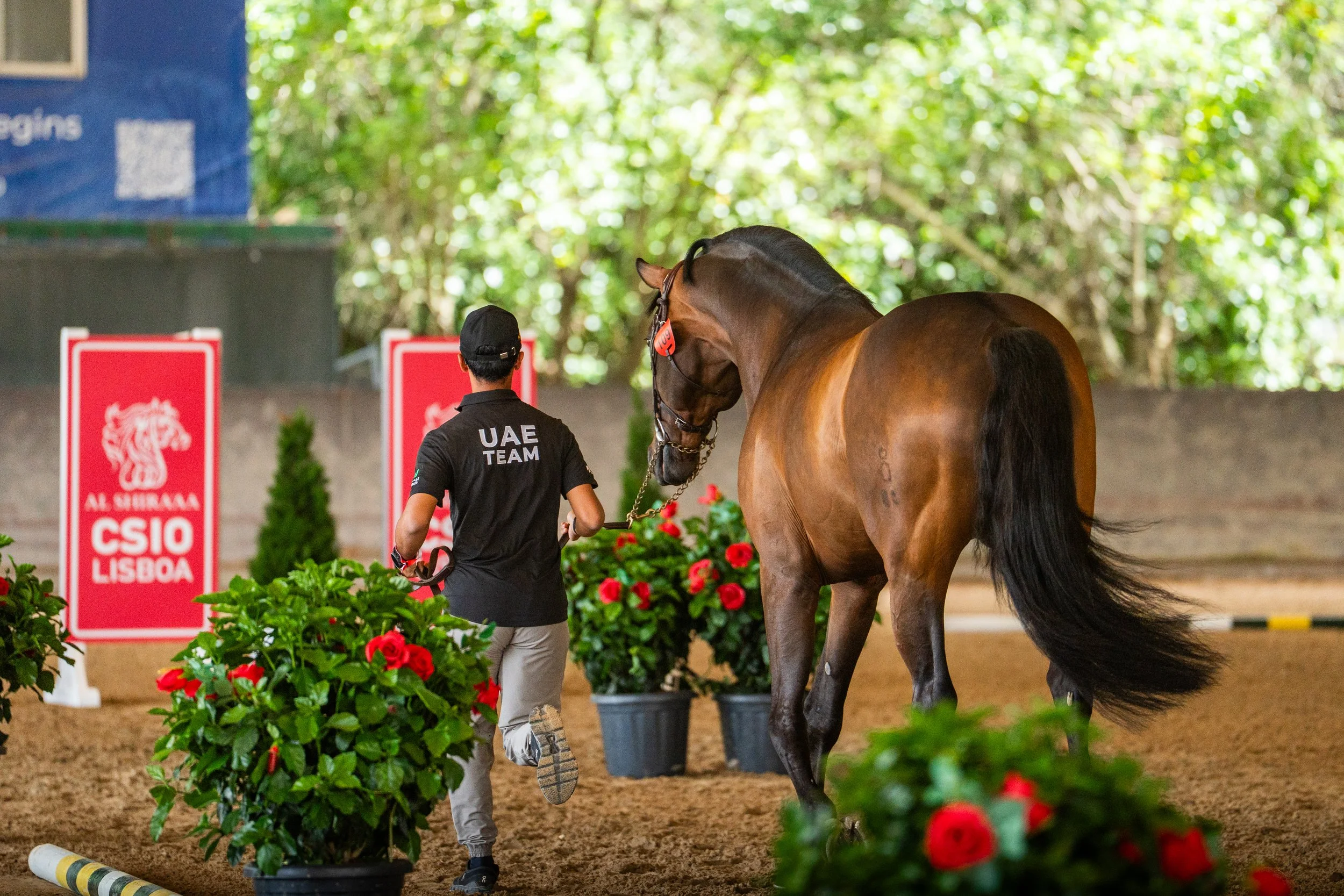 Everything&nbsp;is&nbsp;set for&nbsp;the&nbsp;start&nbsp;of&nbsp;the&nbsp;Al&nbsp;Shira’aa&nbsp;CSIO&nbsp;of&nbsp;Lisbon&nbsp;