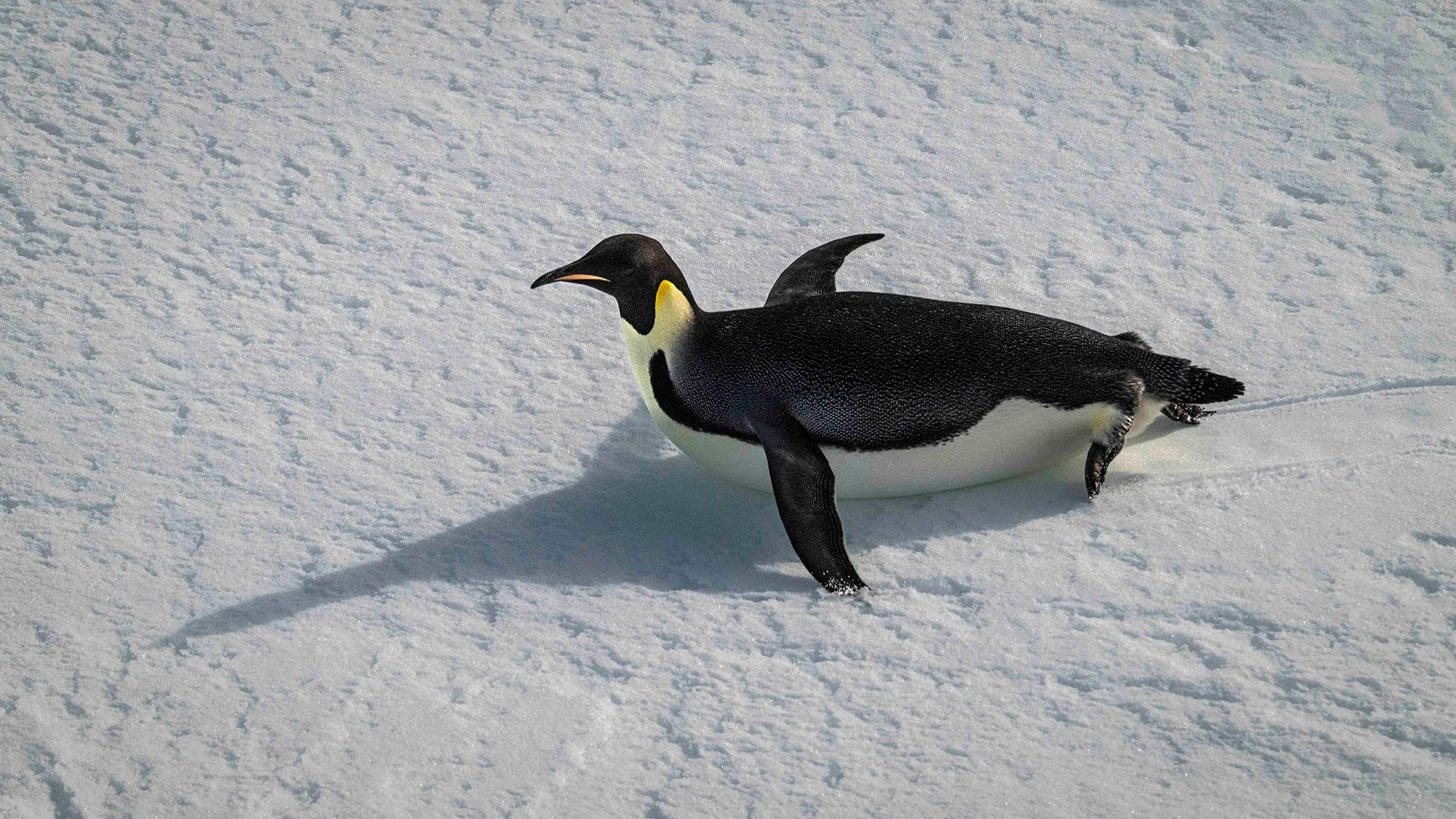Going for a Slide!