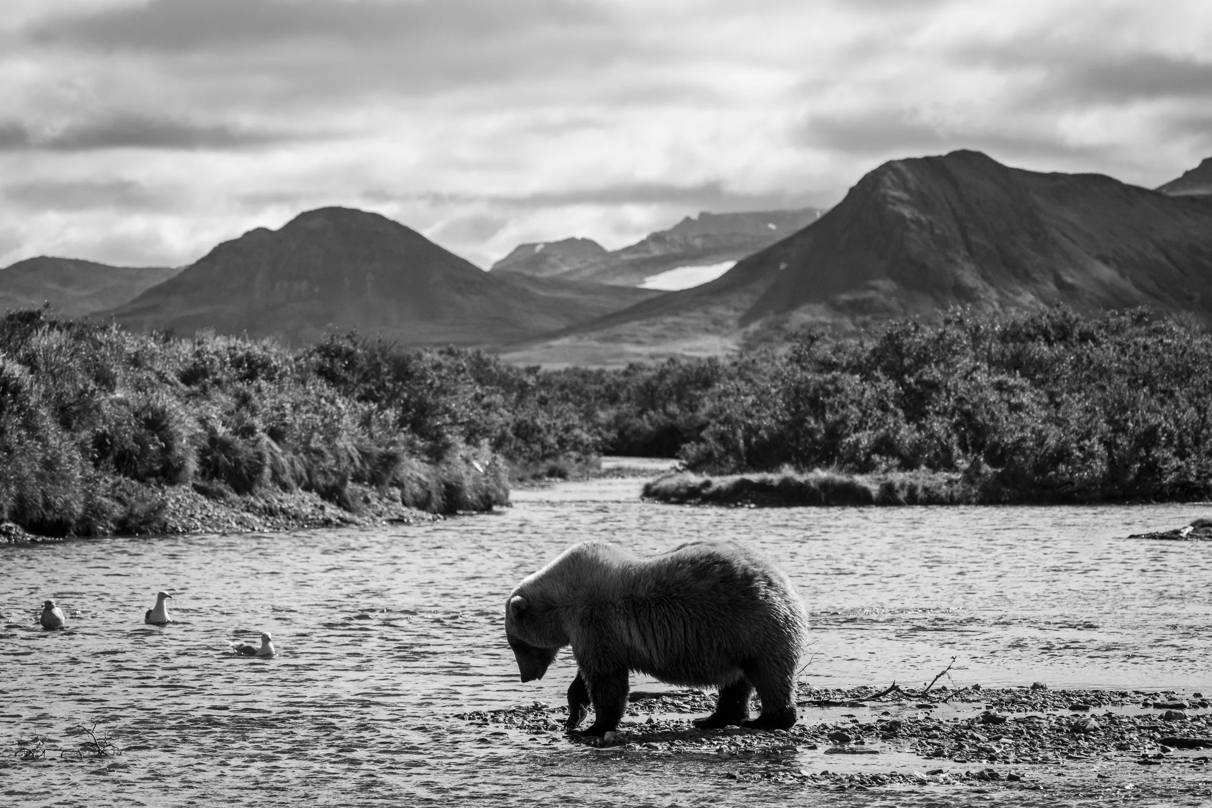 Heading upstream