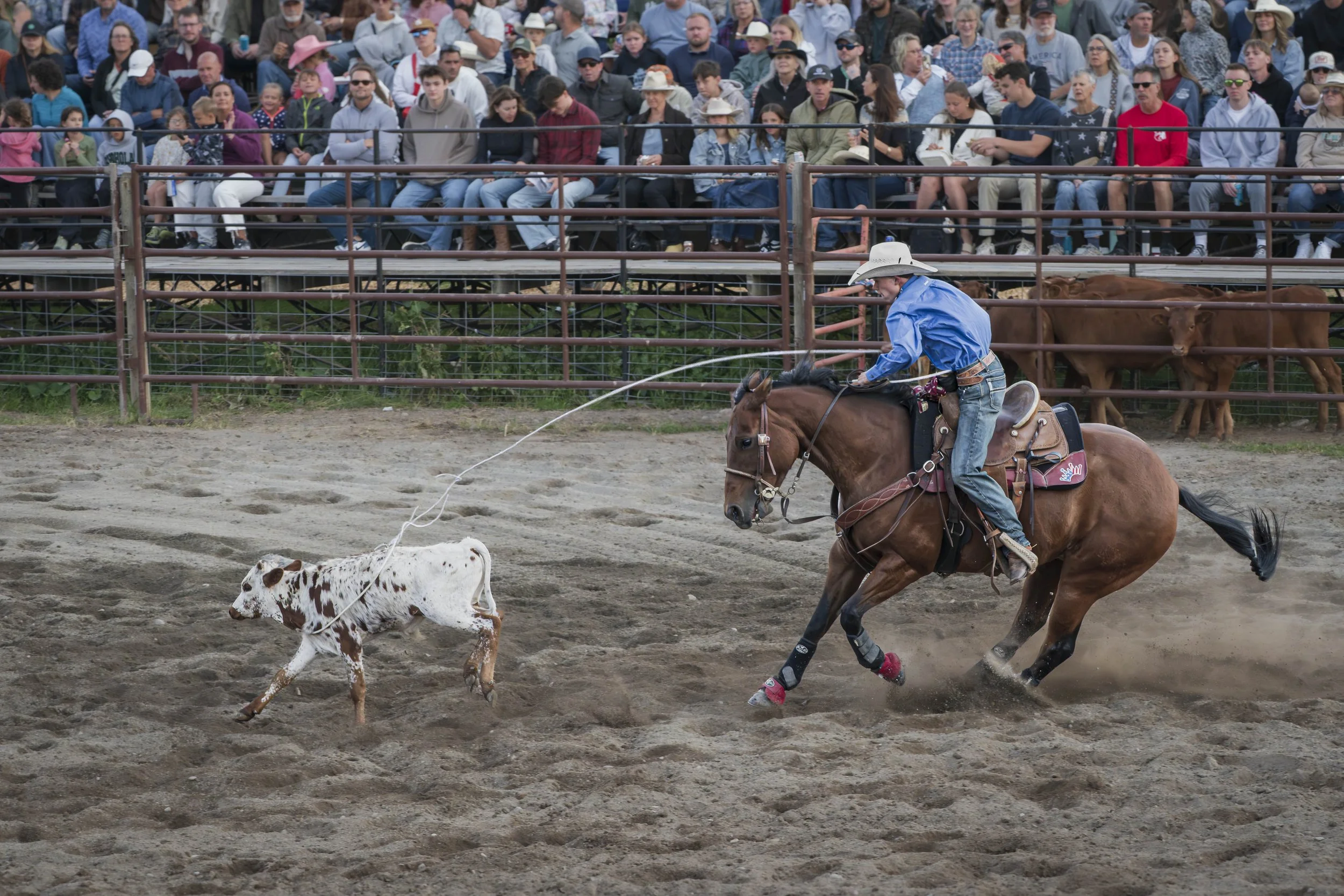 Montana, Columbia Falls weekly rodeo