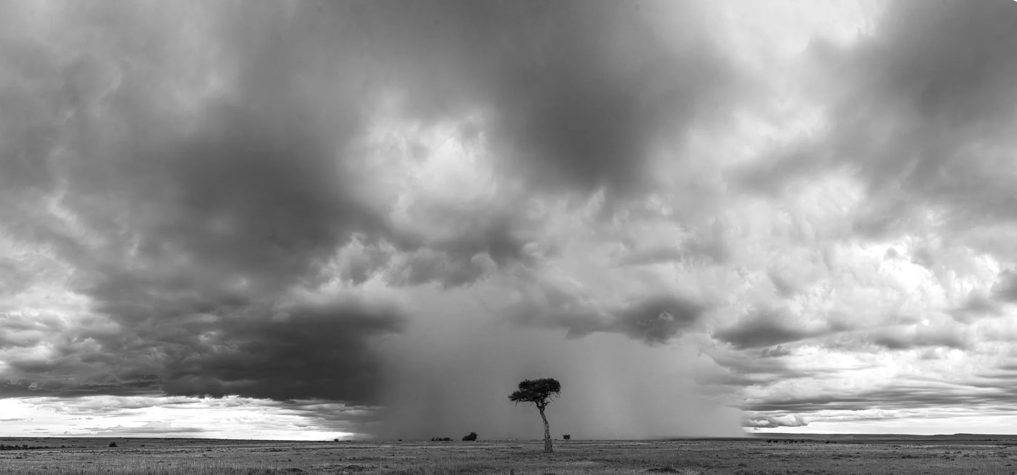 evening storm, Masi Mara, Kenya 