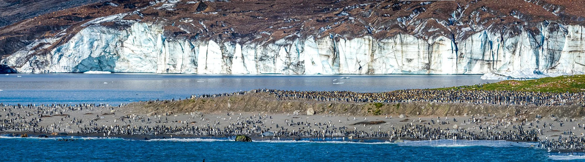 Saint Andrews Bay, South Georgia