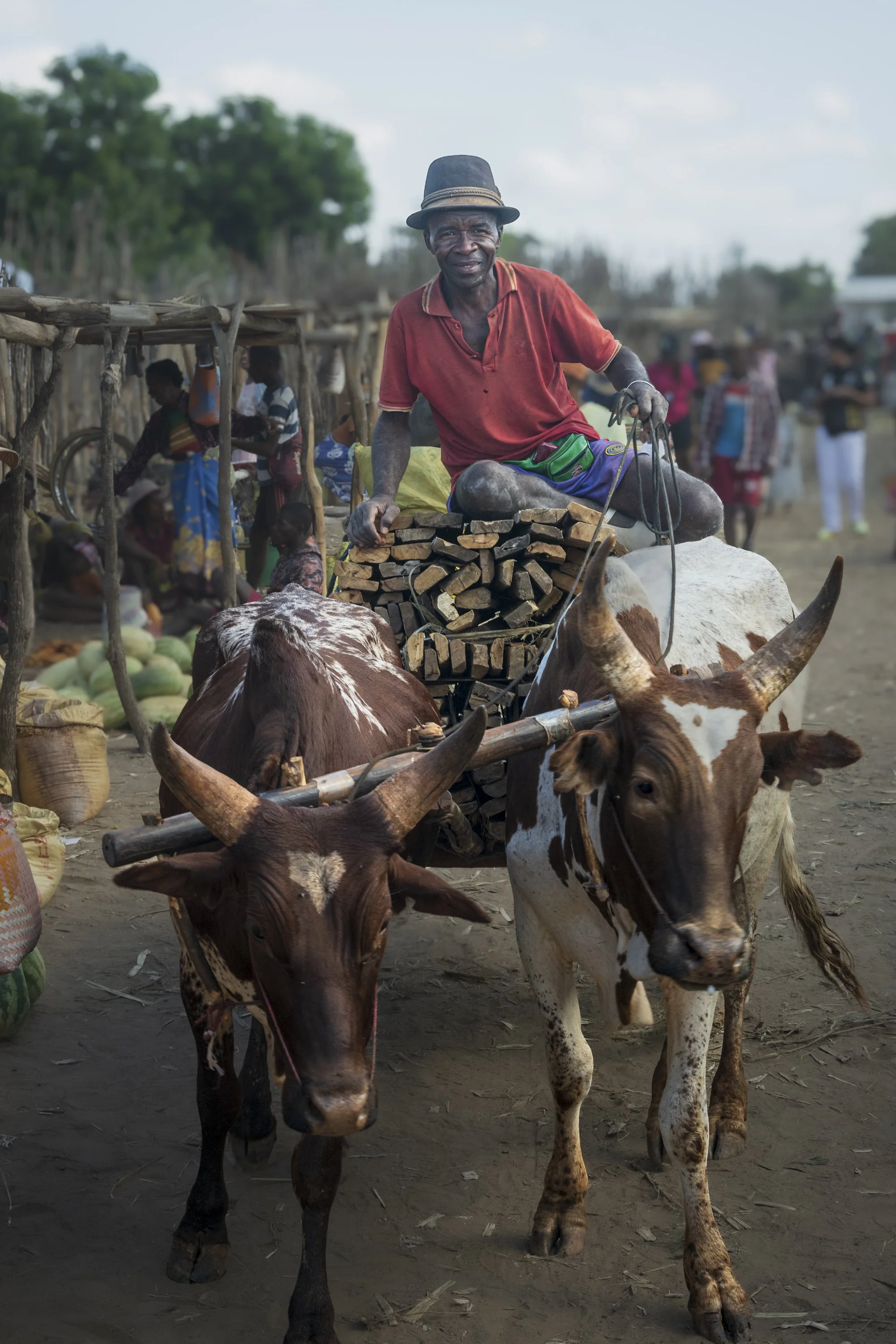 Market Day, Madagascar 