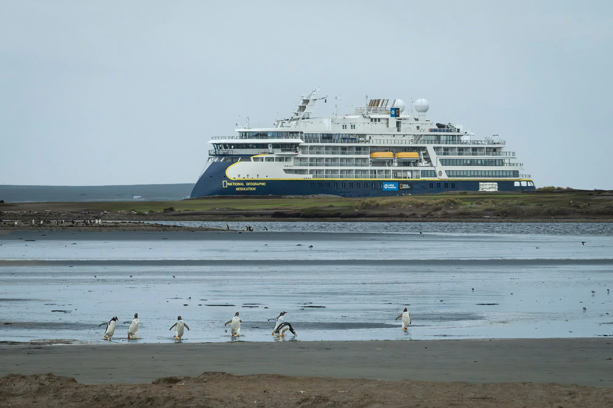 Resolution in Faulklands