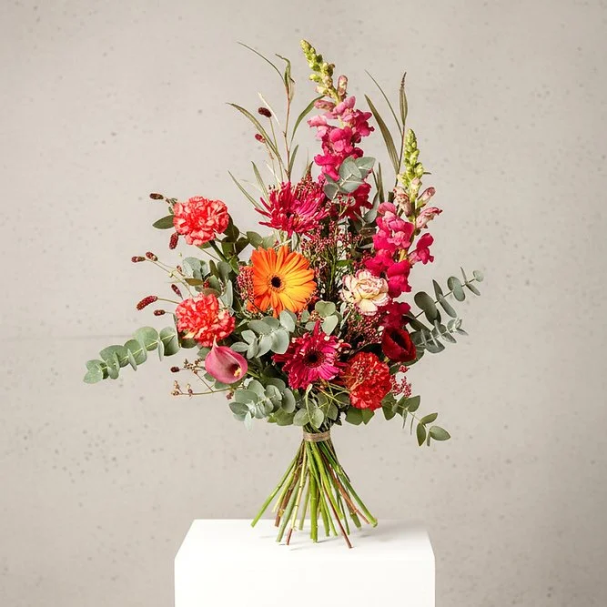 🌷 Saint-Valentin Canopée