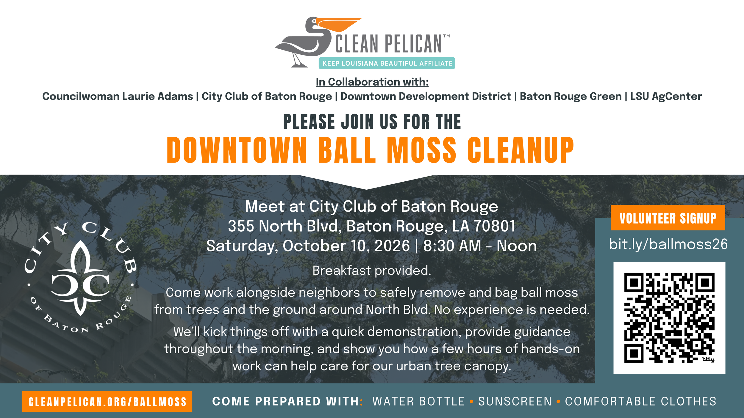 Downtown Ball Moss Cleanup