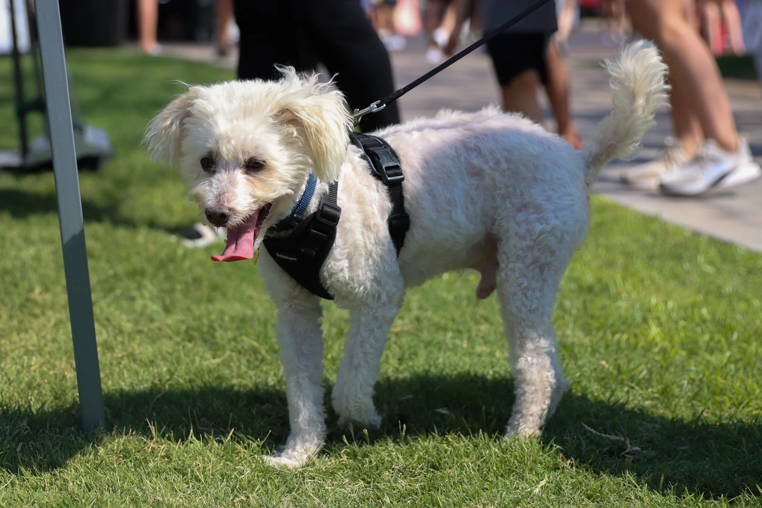 Copy of 240909_NWSRAW_WALLER002.jpg