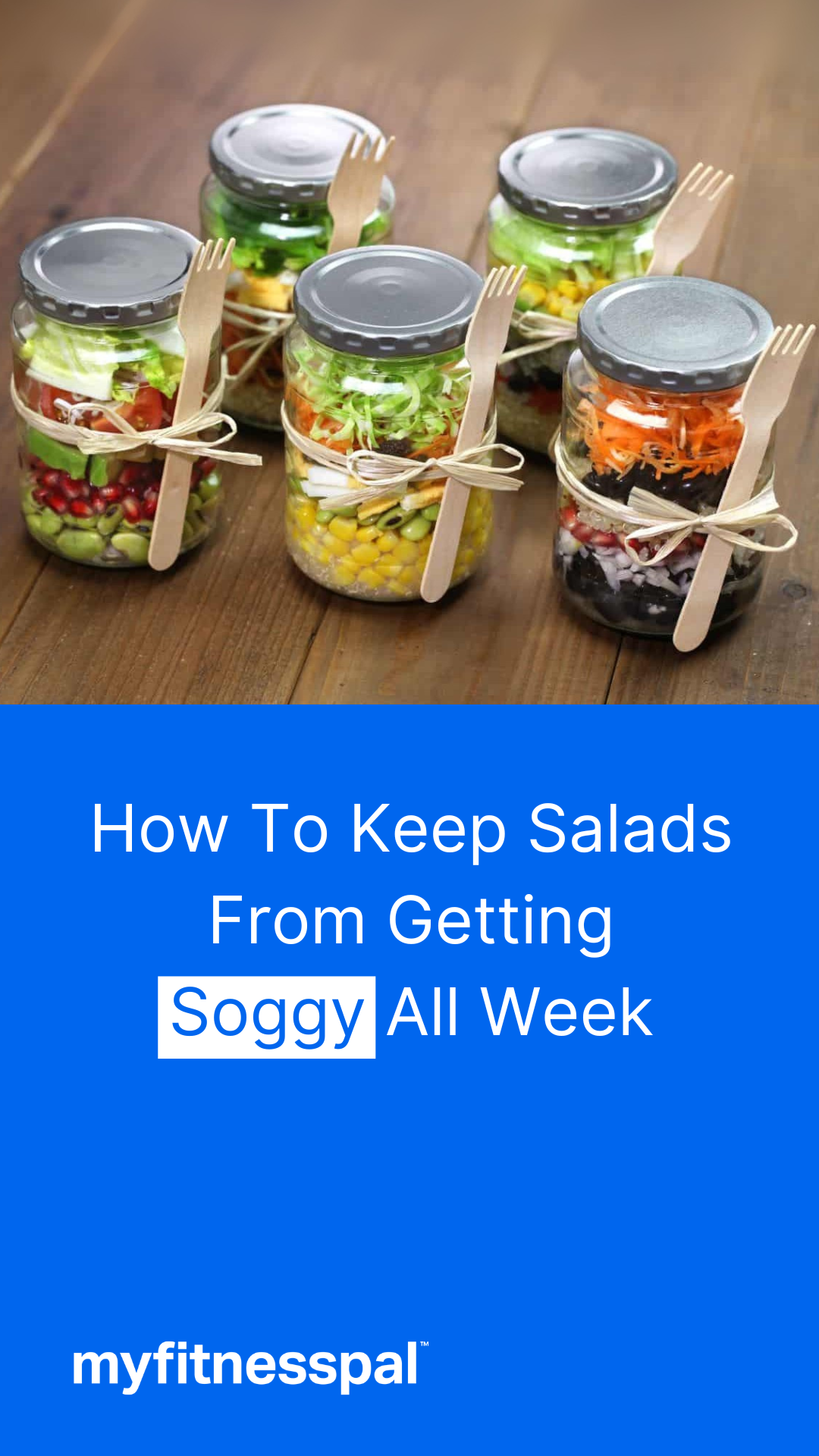 soggy-salads-ig-story.png