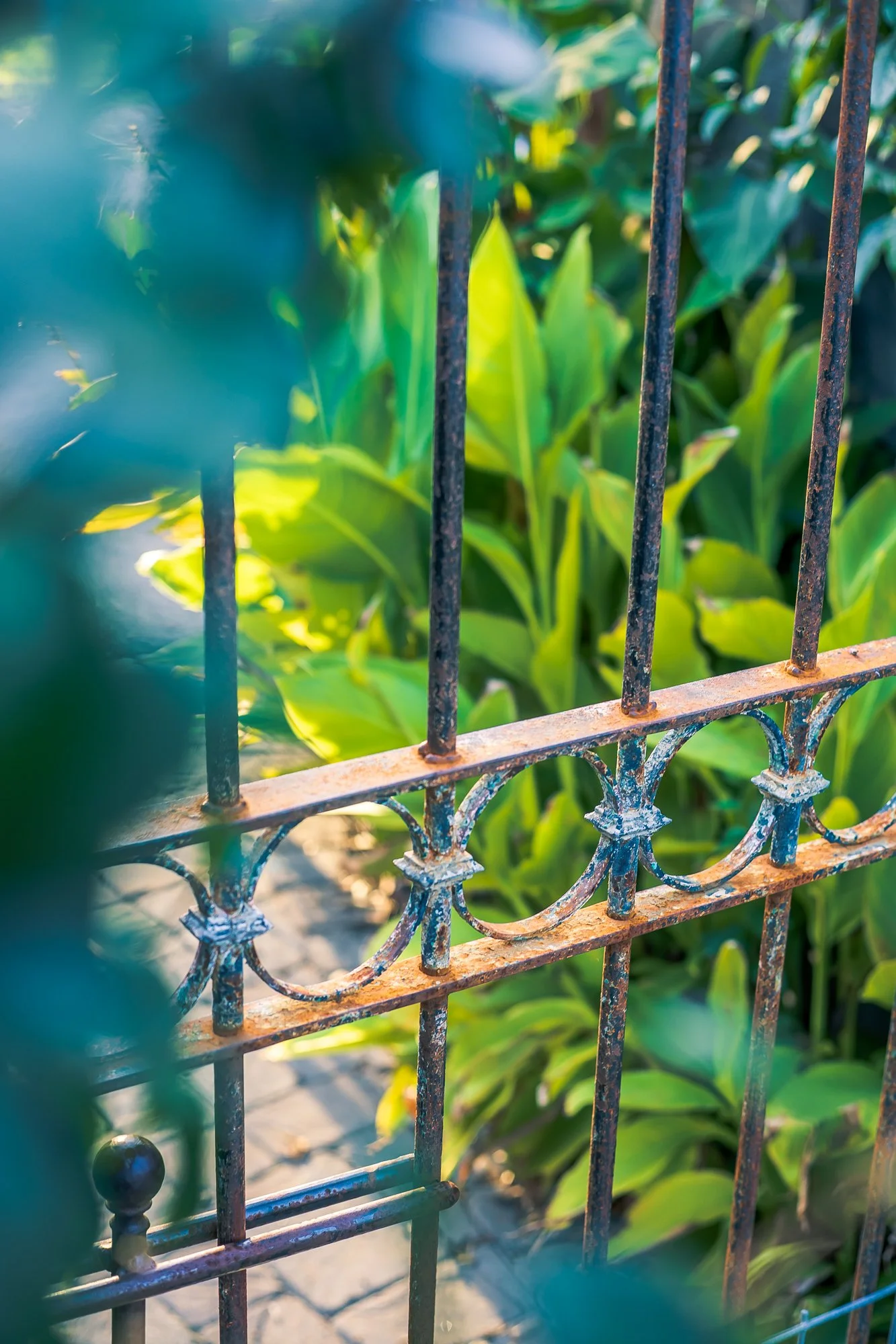 Olive & Dove -117.jpg