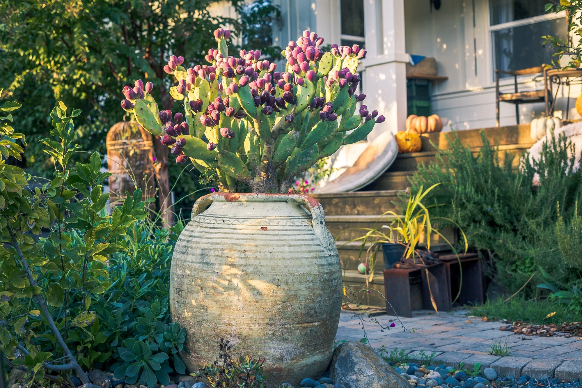 Olive & Dove -111.jpg