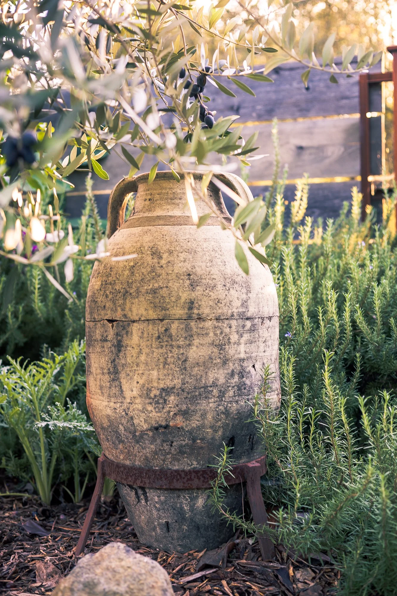 Olive & Dove -105.jpg