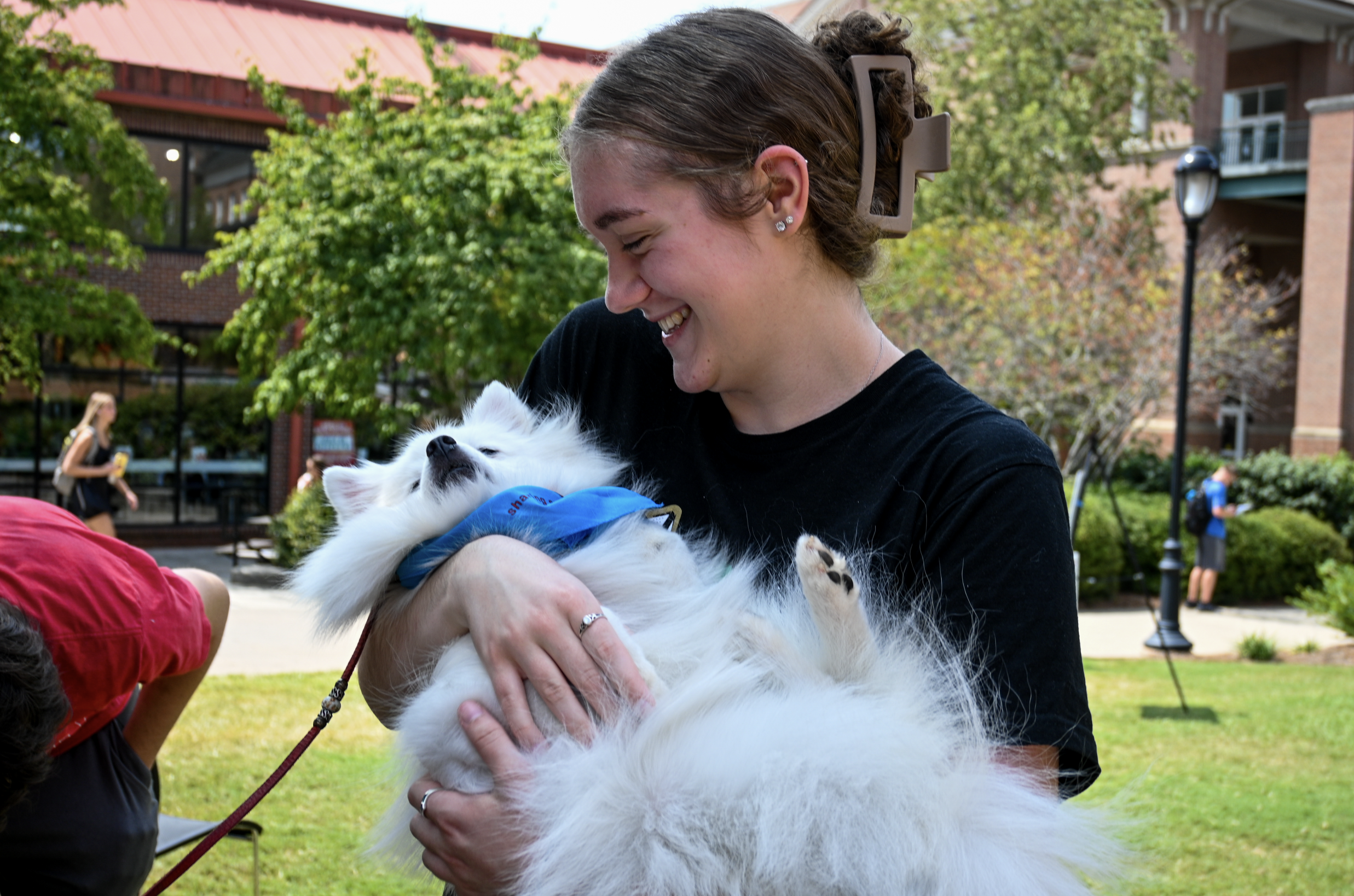 Screenshot 2024-11-19 at 1.32.39 PM.png