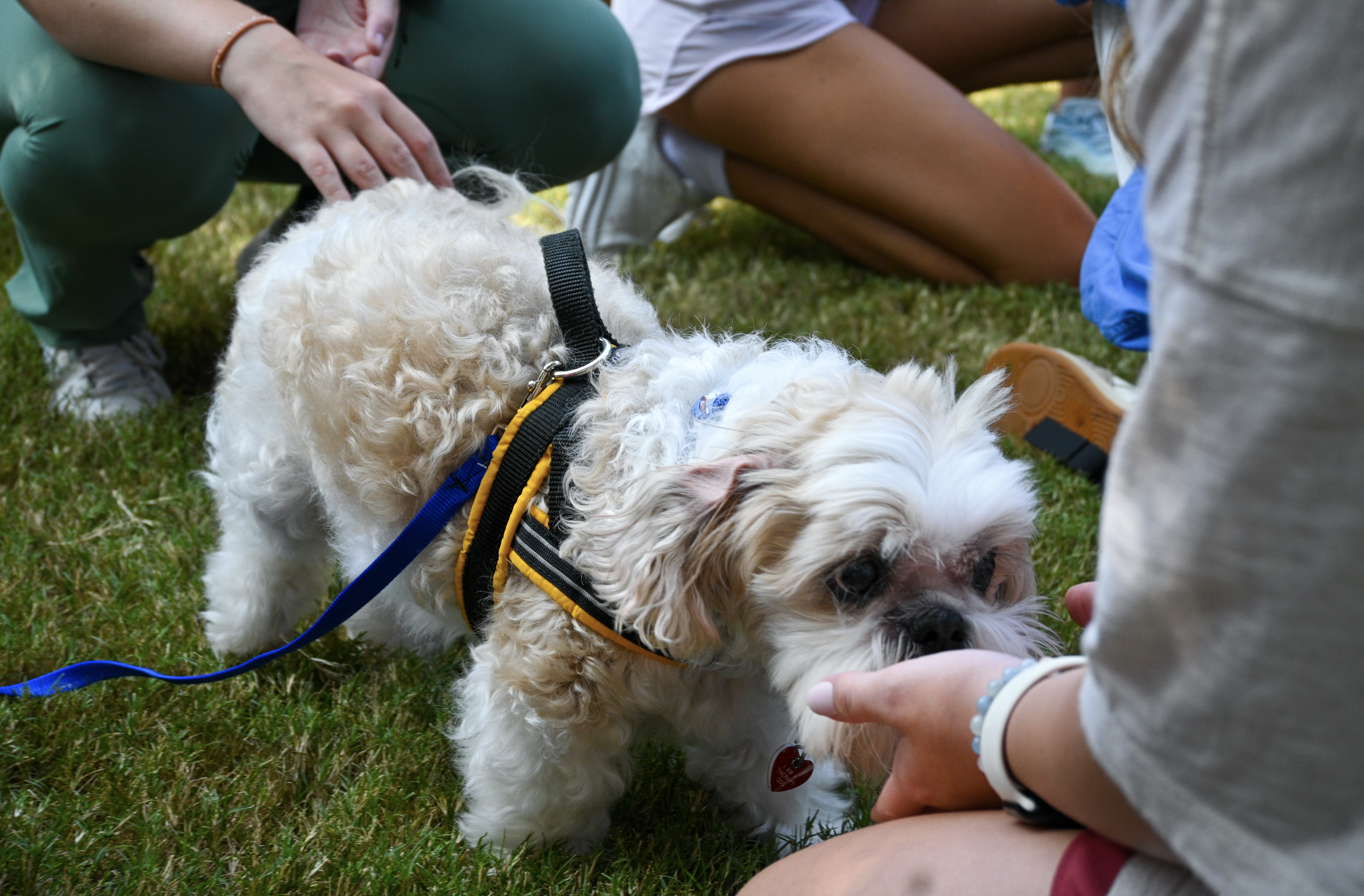 Screenshot 2024-11-19 at 1.32.23 PM.png