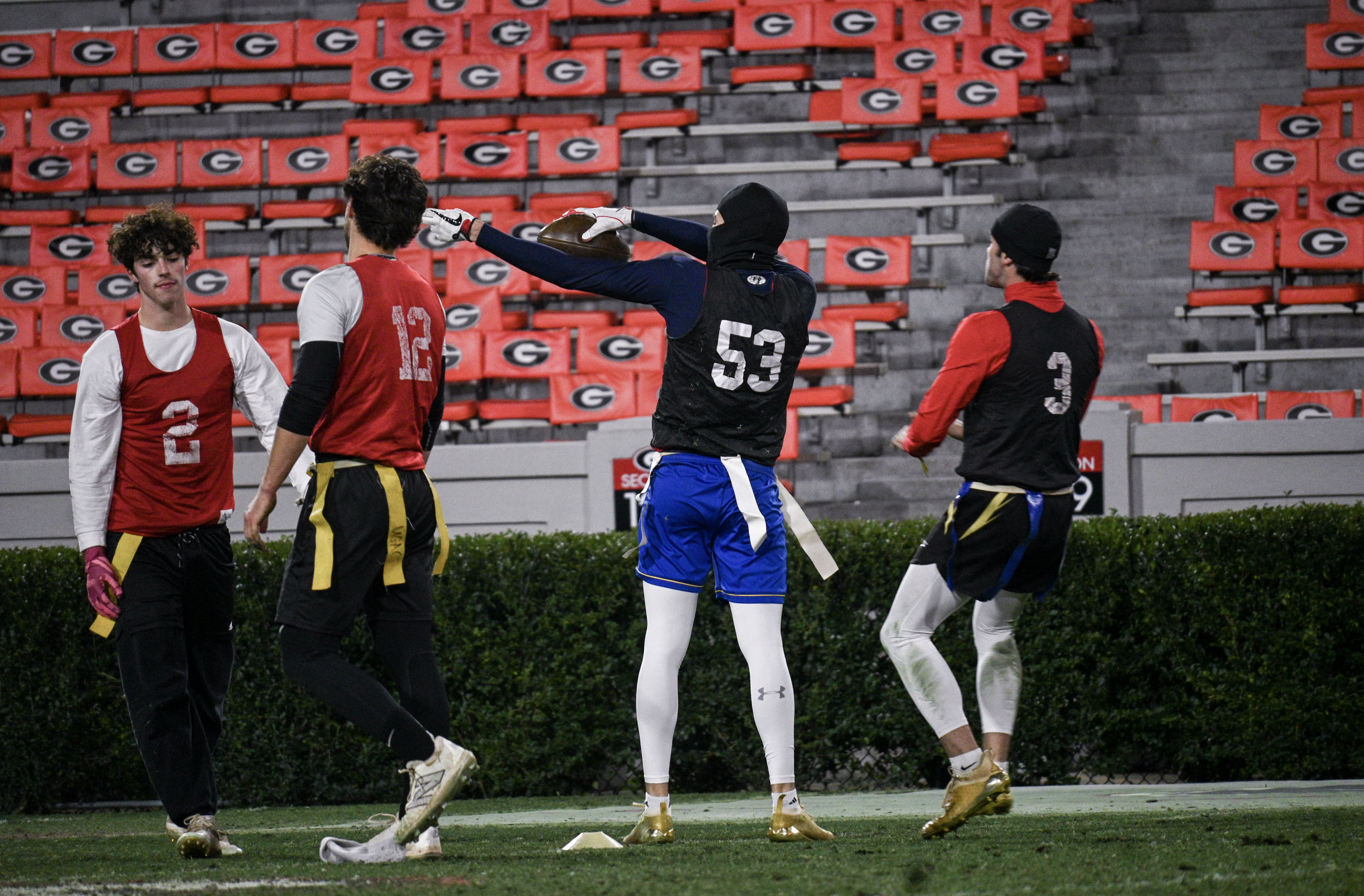 Screenshot 2024-12-09 at 1.55.27 PM.png