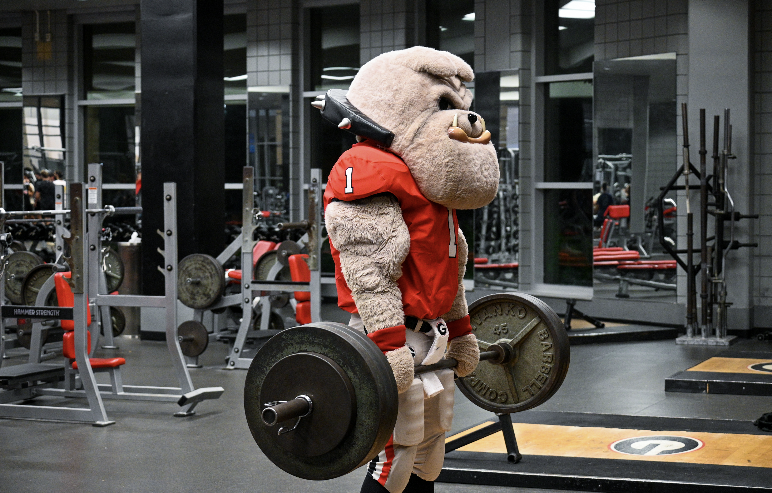 Screenshot 2024-11-19 at 1.30.06 PM.png