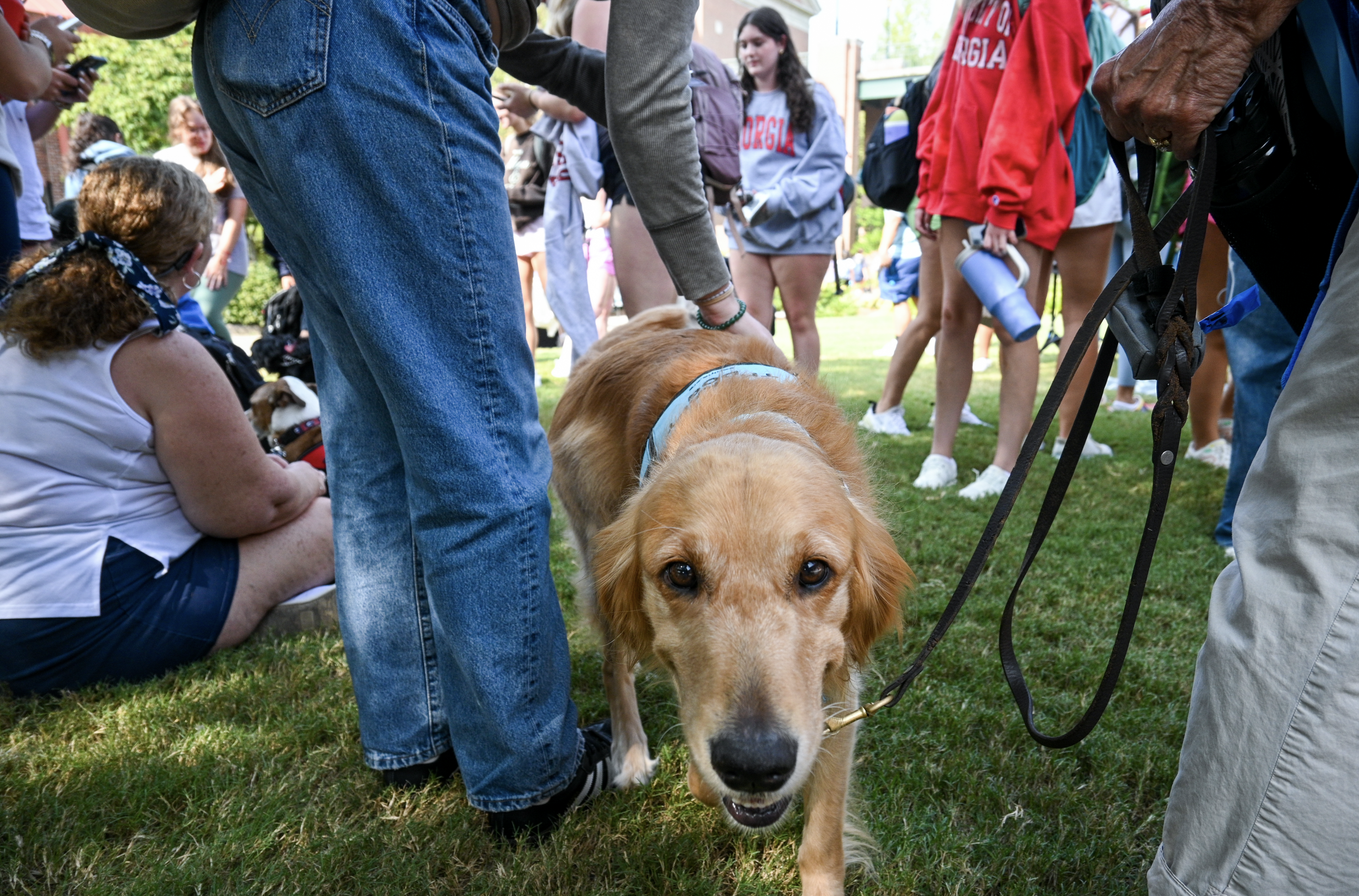 Screenshot 2024-11-19 at 1.32.12 PM.png