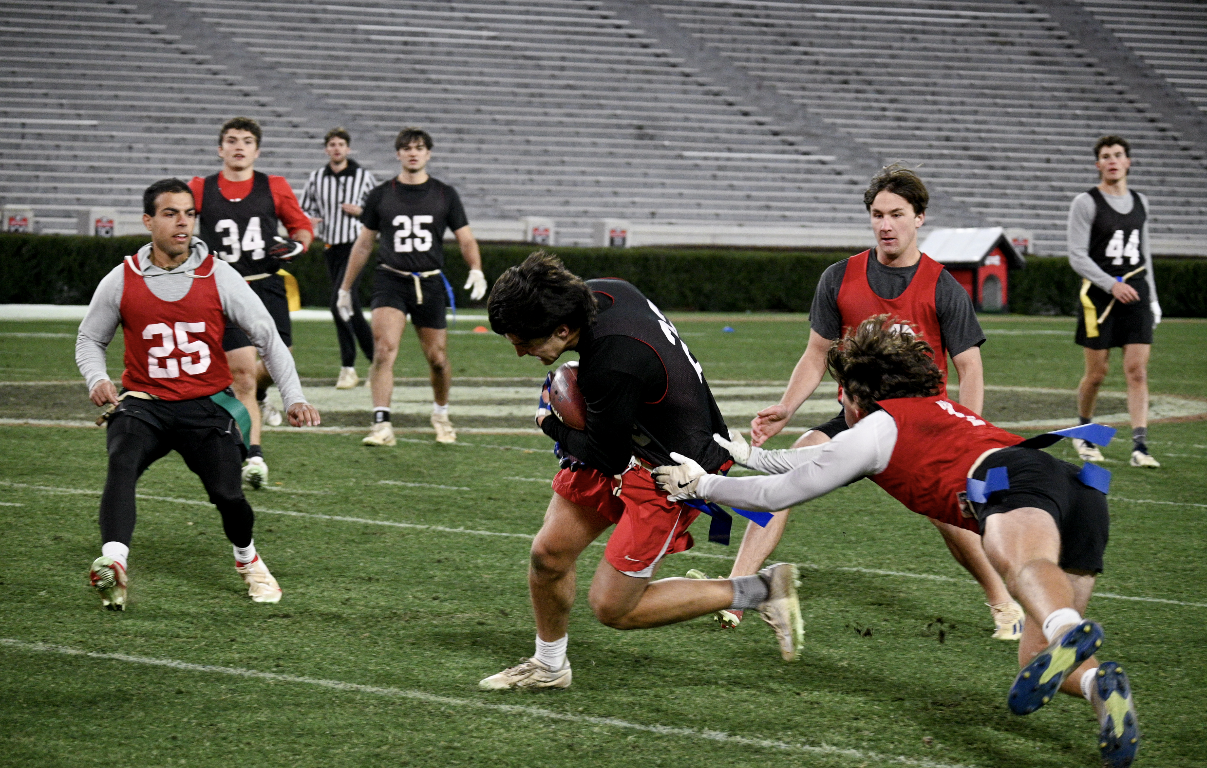 Screenshot 2024-12-09 at 1.53.28 PM.png