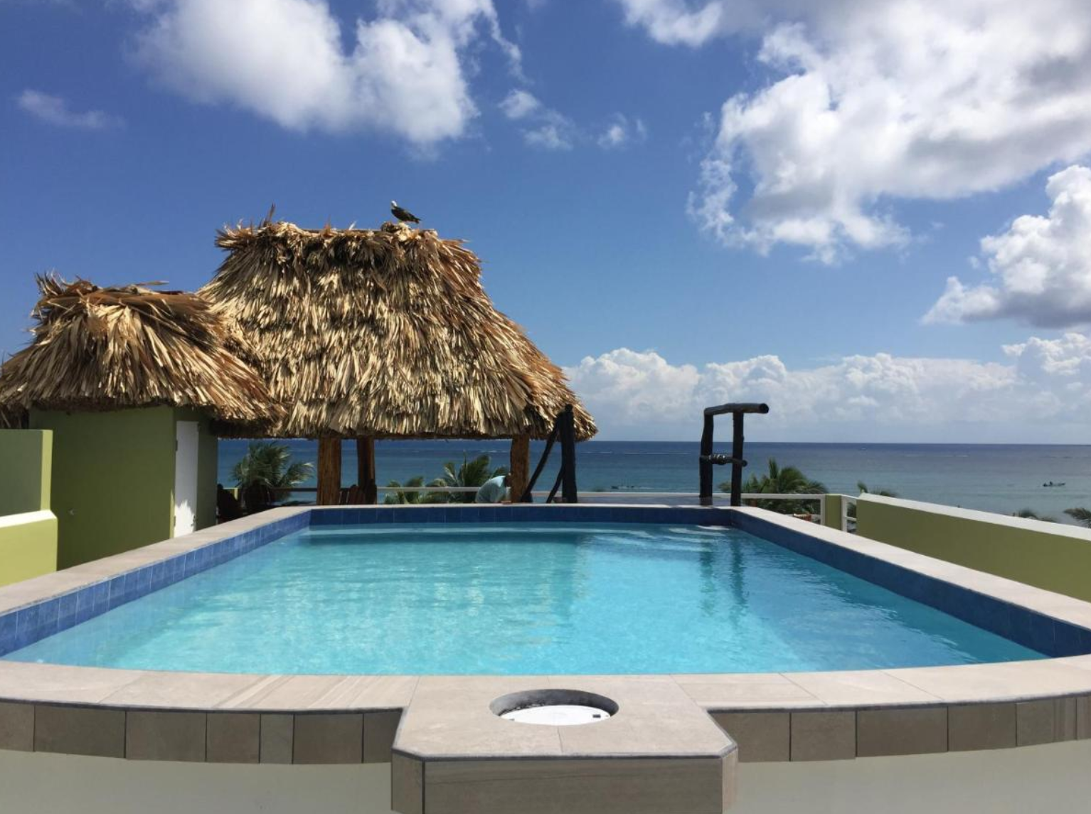 Rooftop swimming pool with ocean view, thatched-roof hut, and seagull; blue sky with clouds.