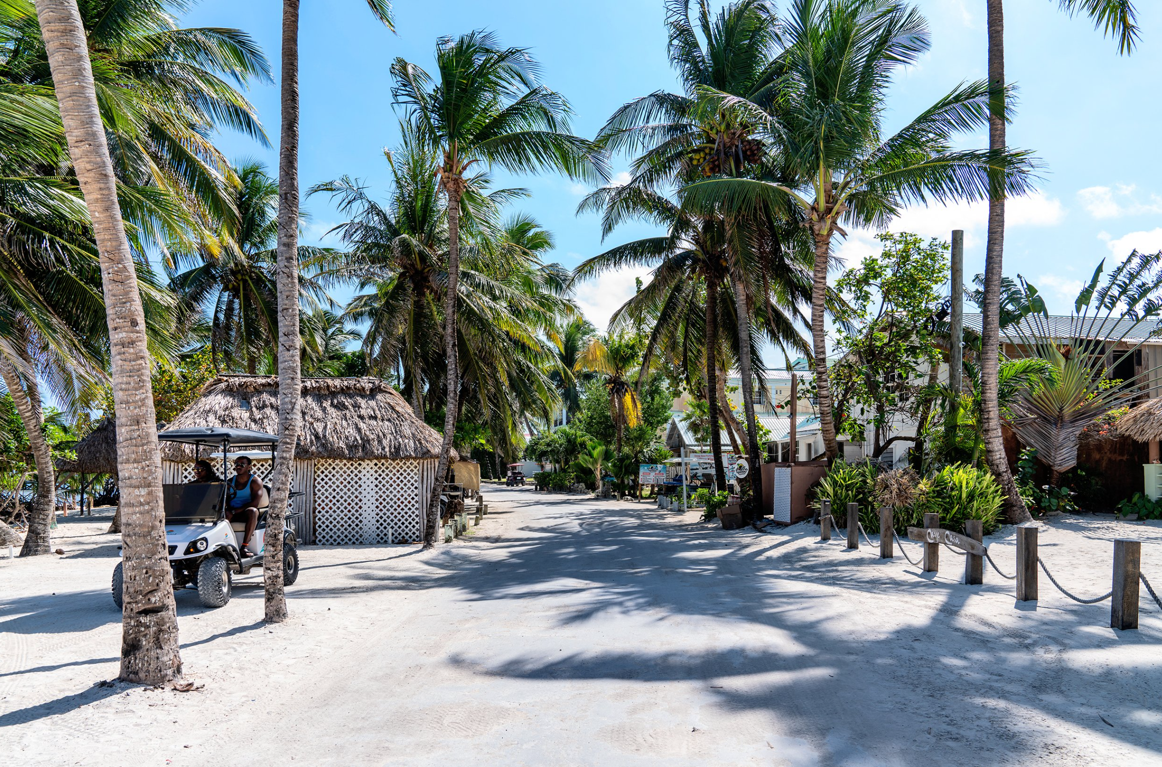 Palm tree-lined sandy street with a thatched-roof hut and a person driving a golf cart under blue skies.